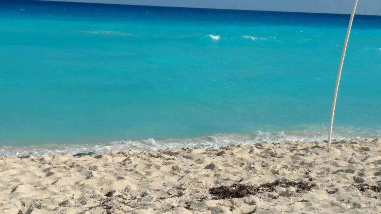 Beach in Apartment Ocean Front Cancun