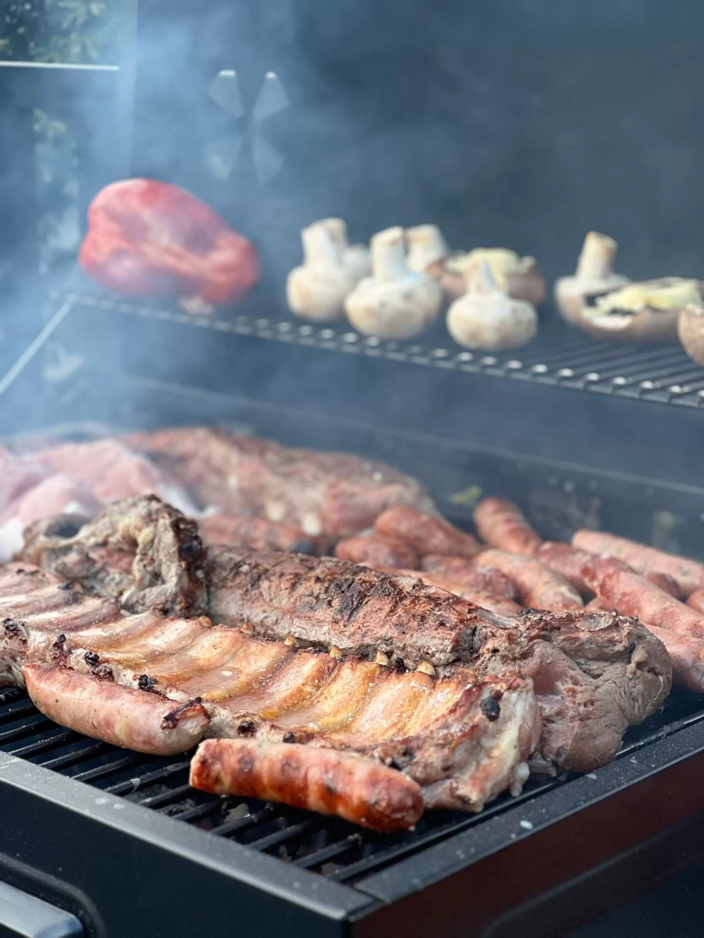 BBQ facilities in HOTEL 9.5 SAN FERNANDO