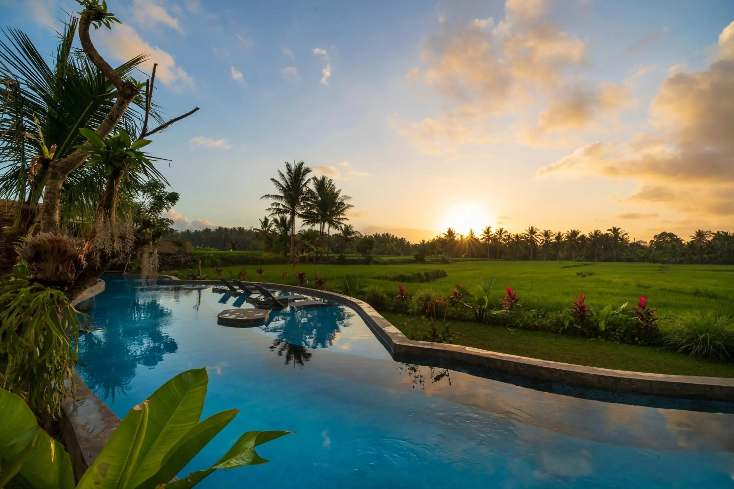 Sea view, Swimming Pool in Beehouse Dijiwa Ubud