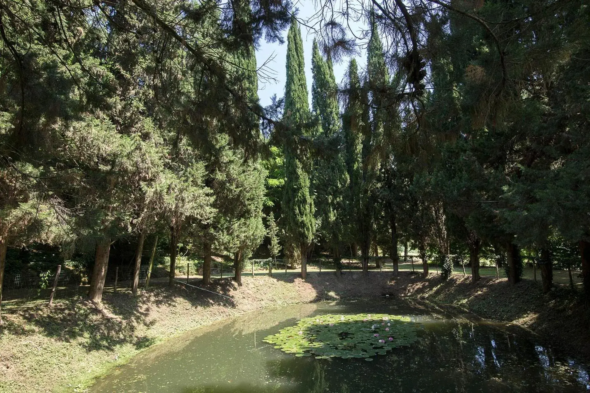 Natural landscape, Garden in Villa Cattani Stuart