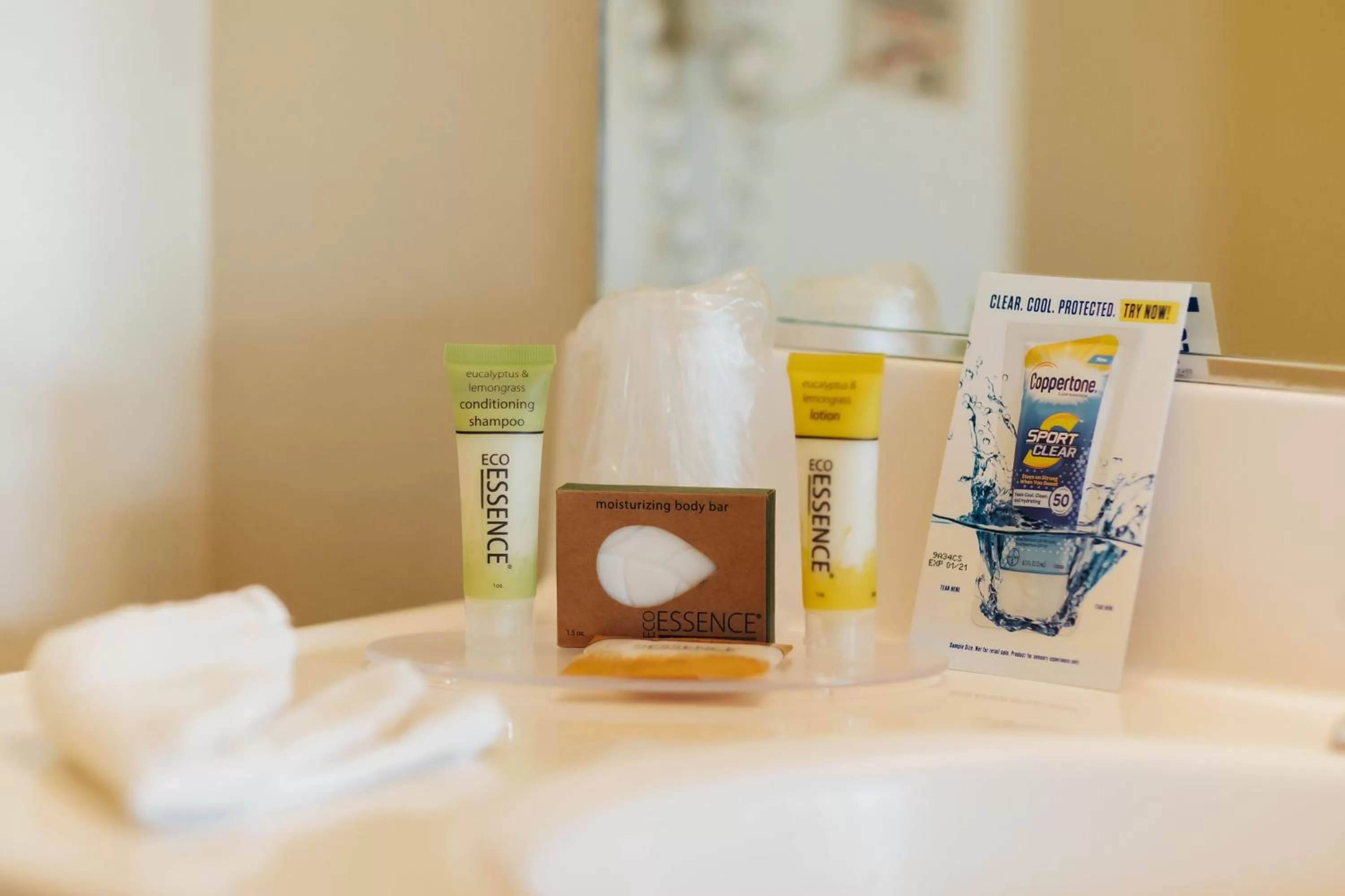 Area and facilities in Vintage Lakeside Inn