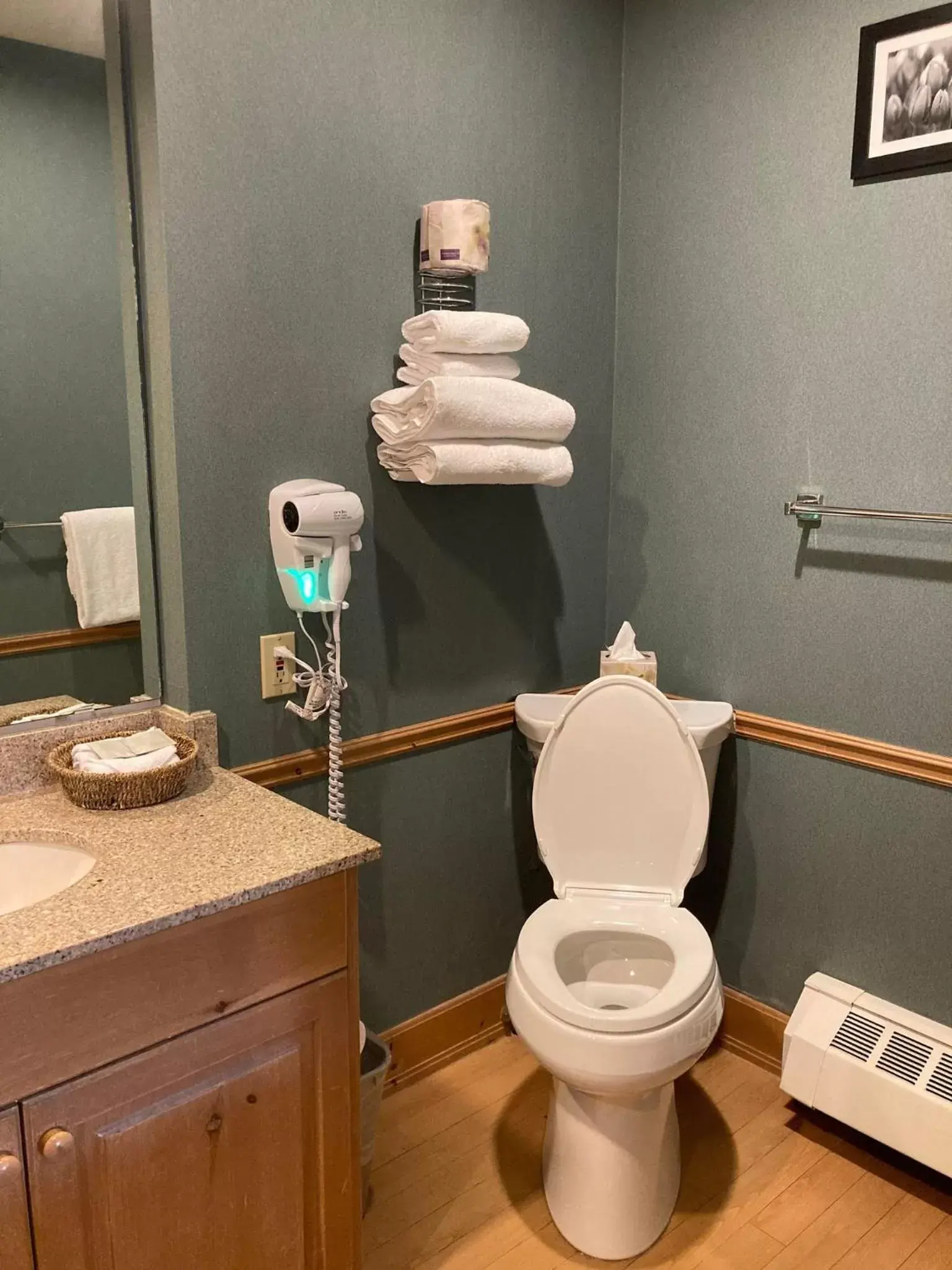 Toilet, Bathroom in Lake Louise Inn