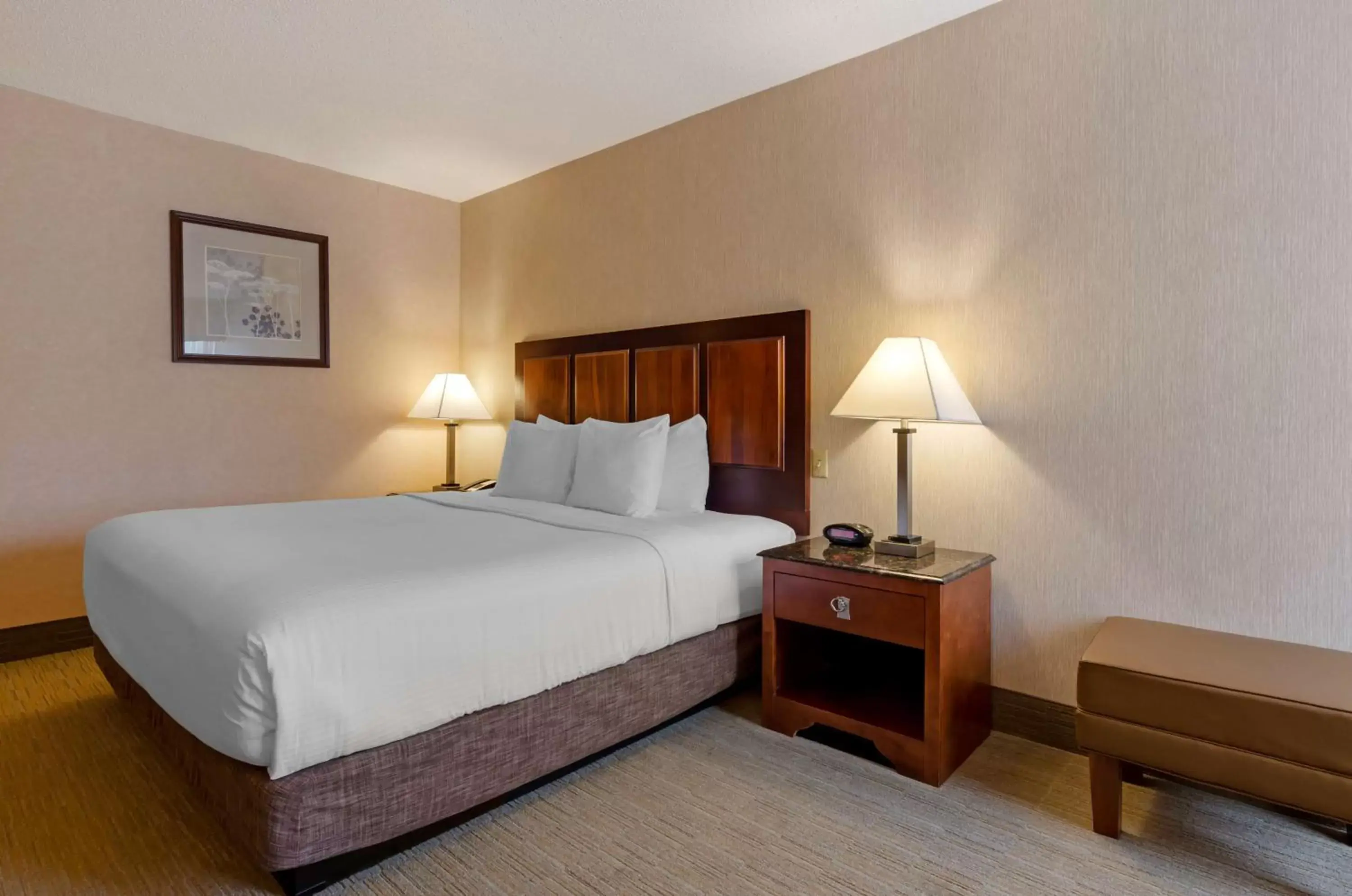 Bedroom, Bed in Best Western Staunton Inn Bedroom, Bed in Best Western Staunton Inn