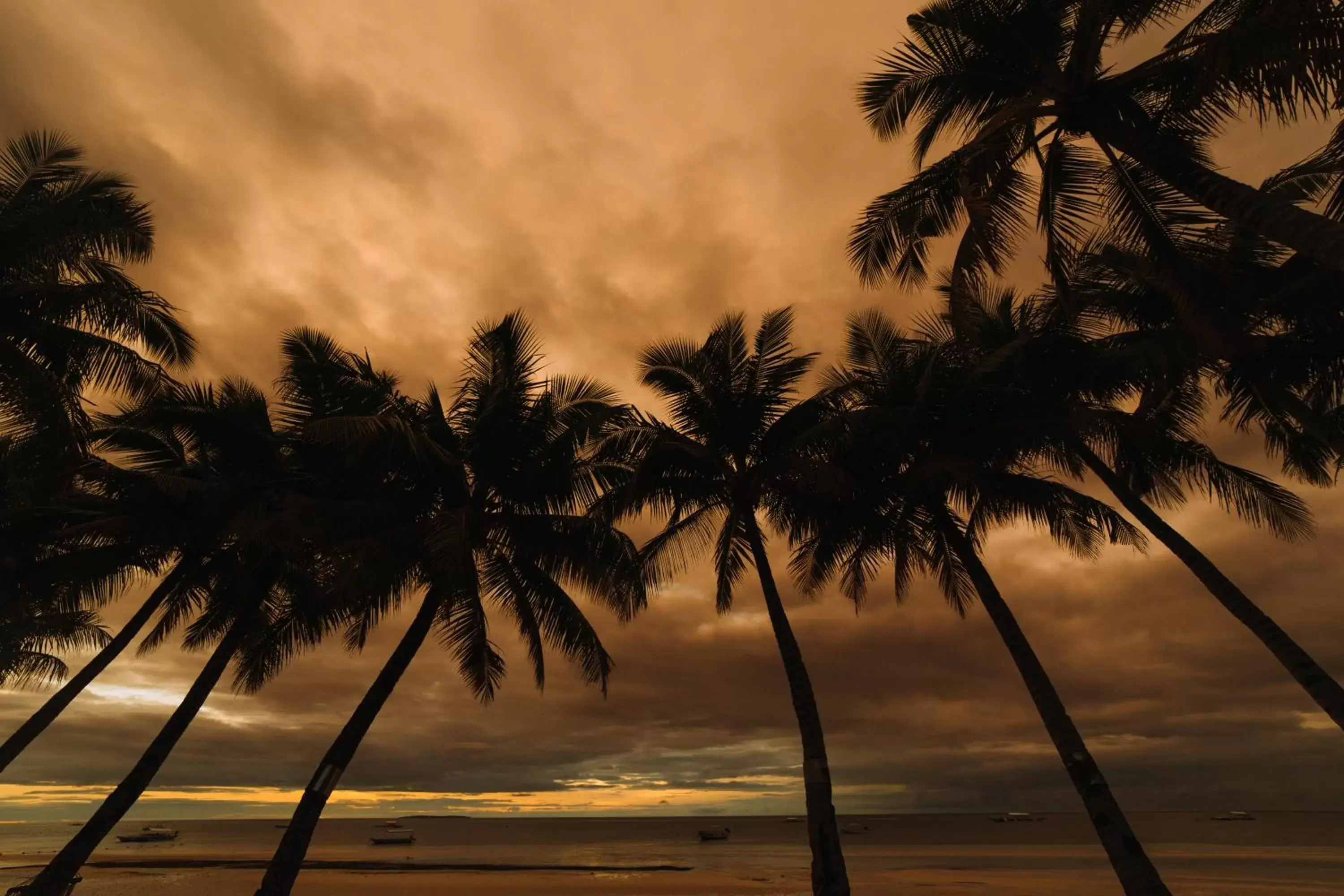 Sunrise/Sunset in Bohol Beach Club