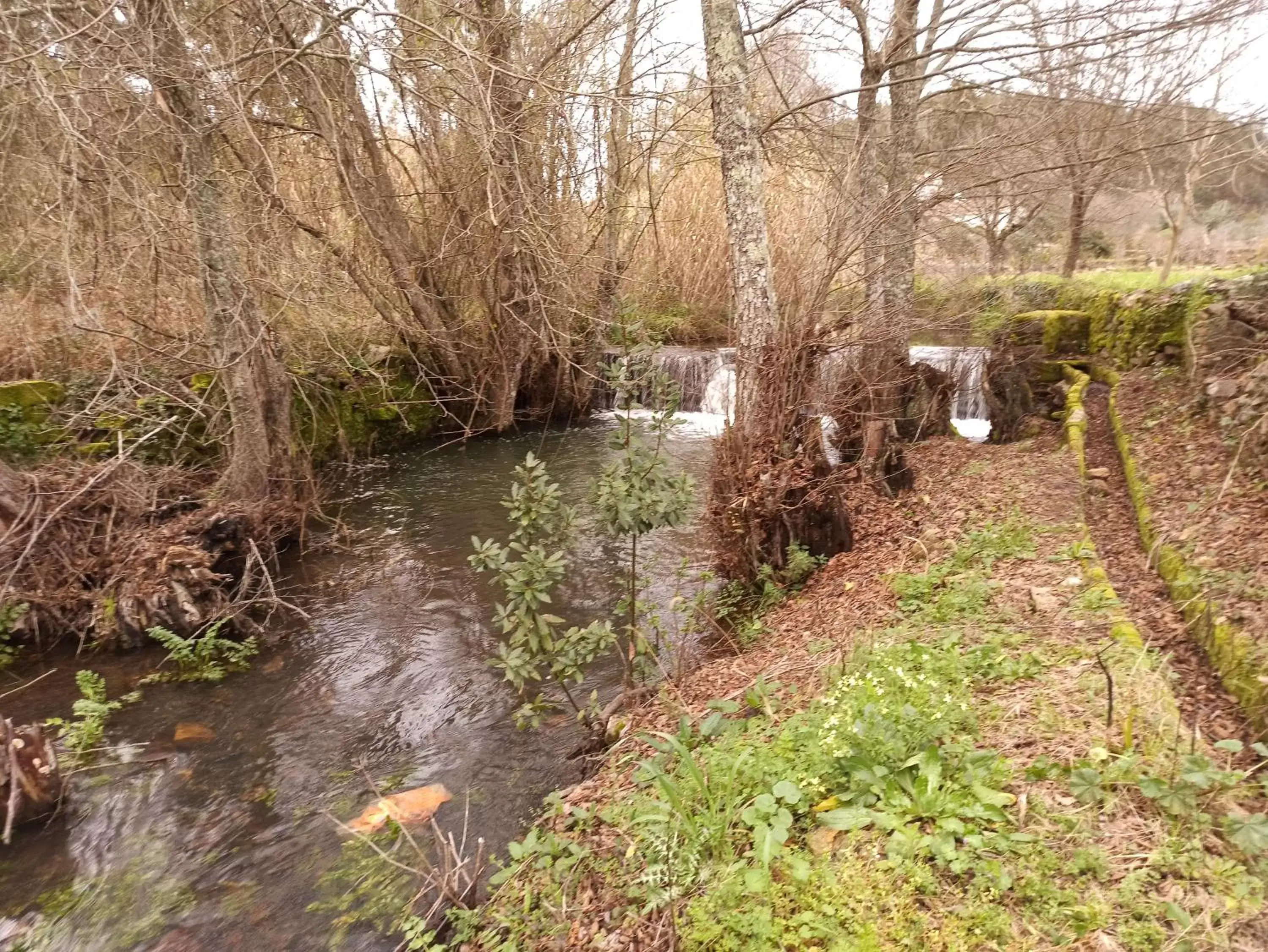 Hiking, Natural Landscape in Porto D'Abrigo - Alojamento Local