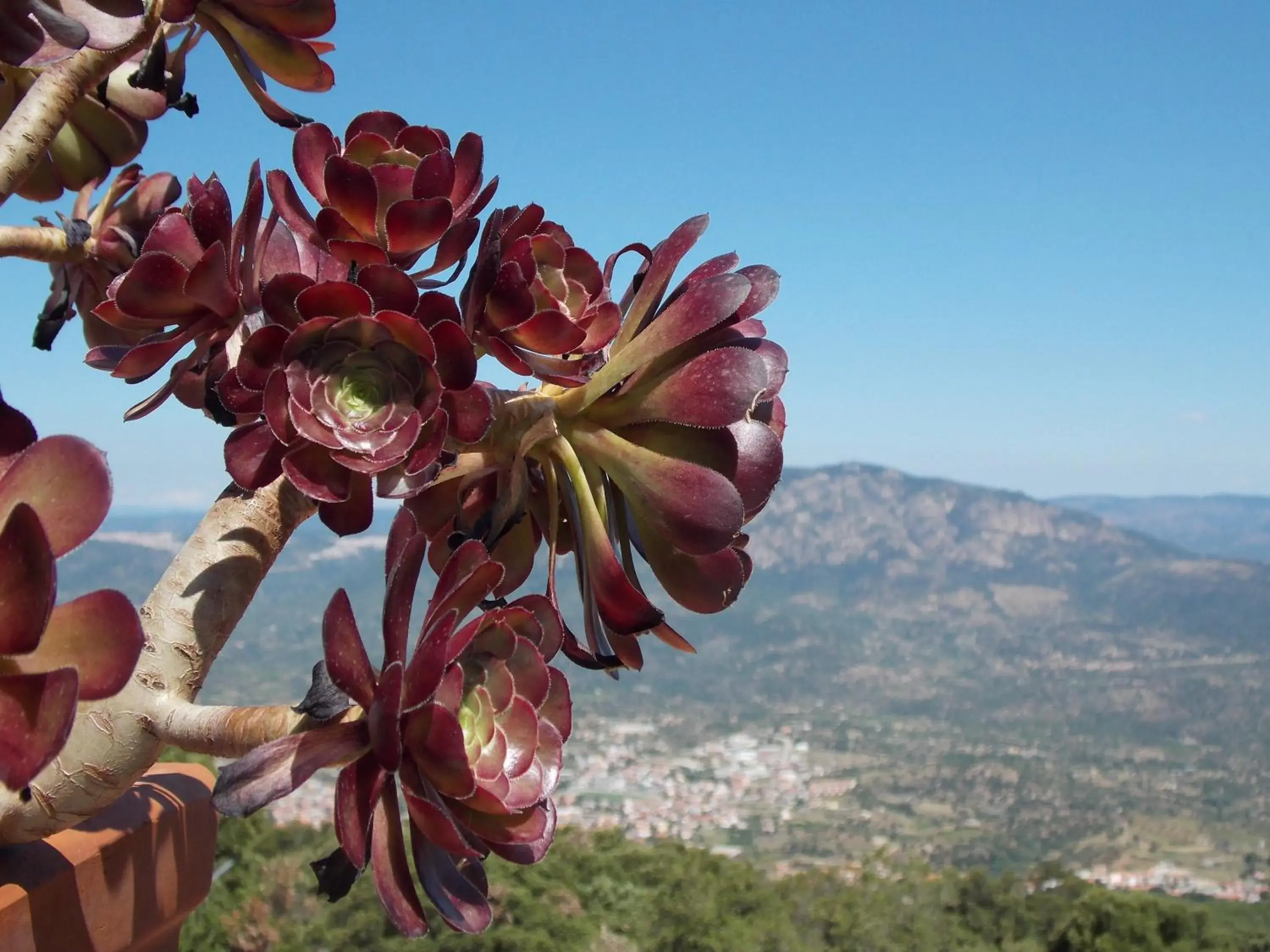 Activities in S'Enis Monte Maccione