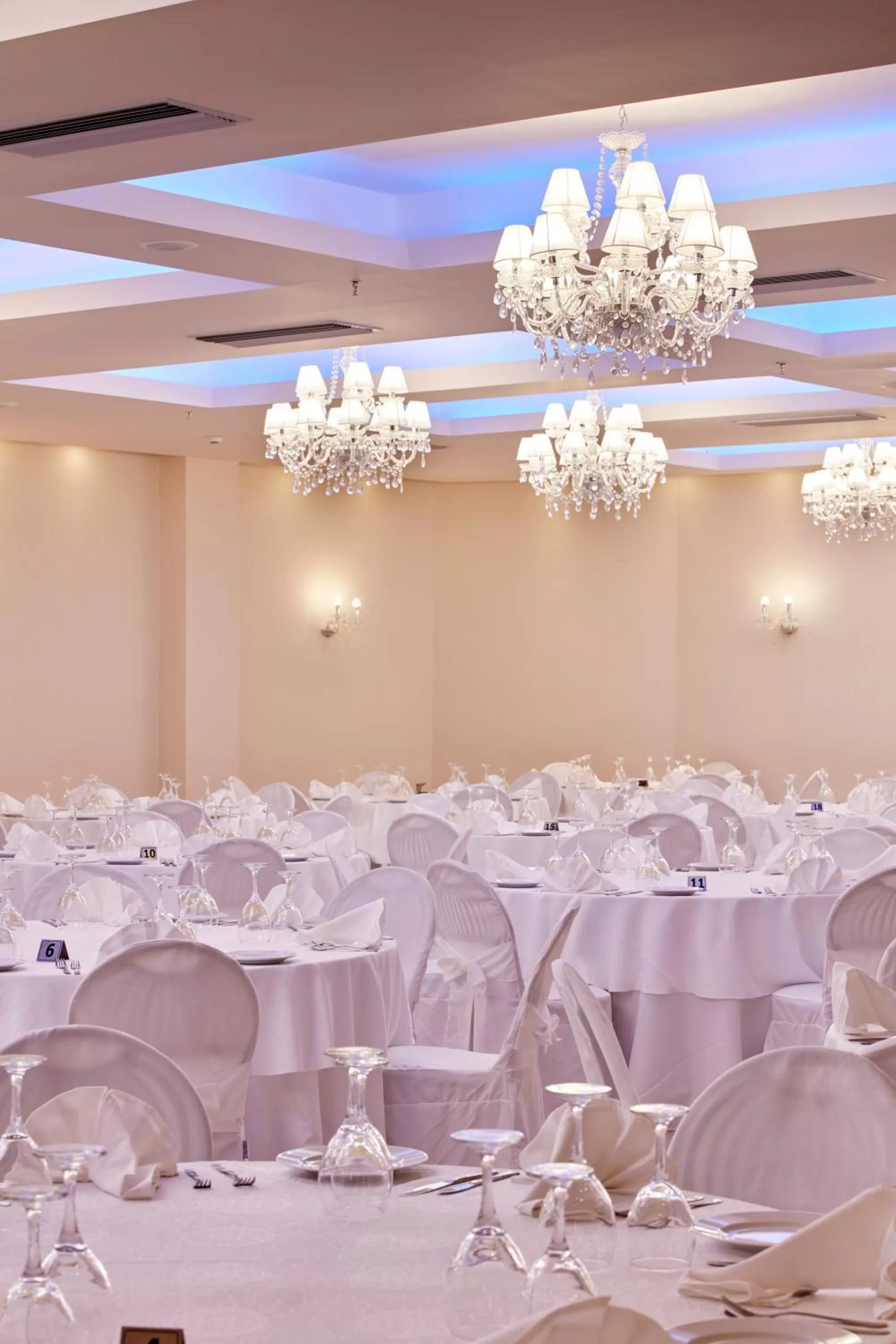 Banquet/Function facilities in Aar Hotel & Spa Ioannina