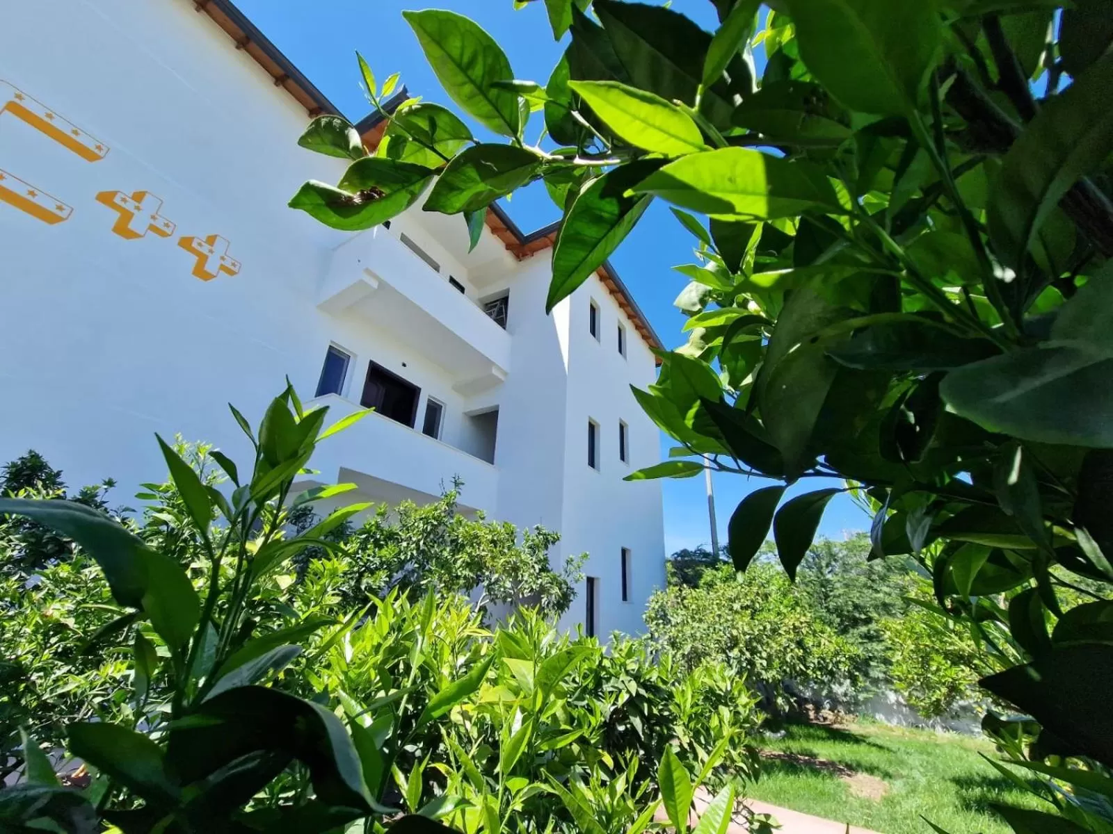 Hotel Vila C plus plus