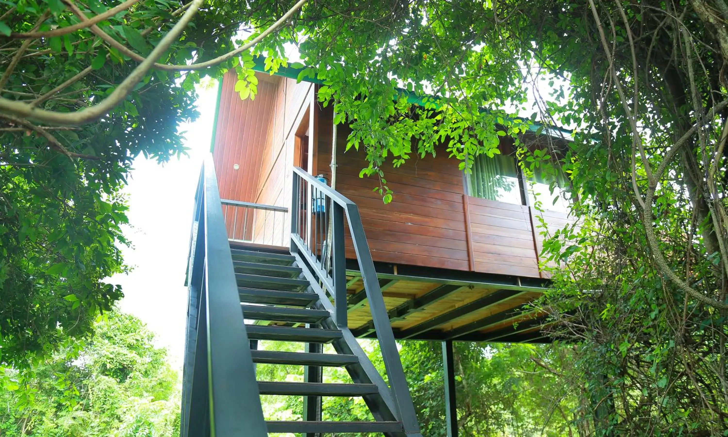 Tree House - single occupancy in Nice Place Resort Tree House - single occupancy in Nice Place Resort
