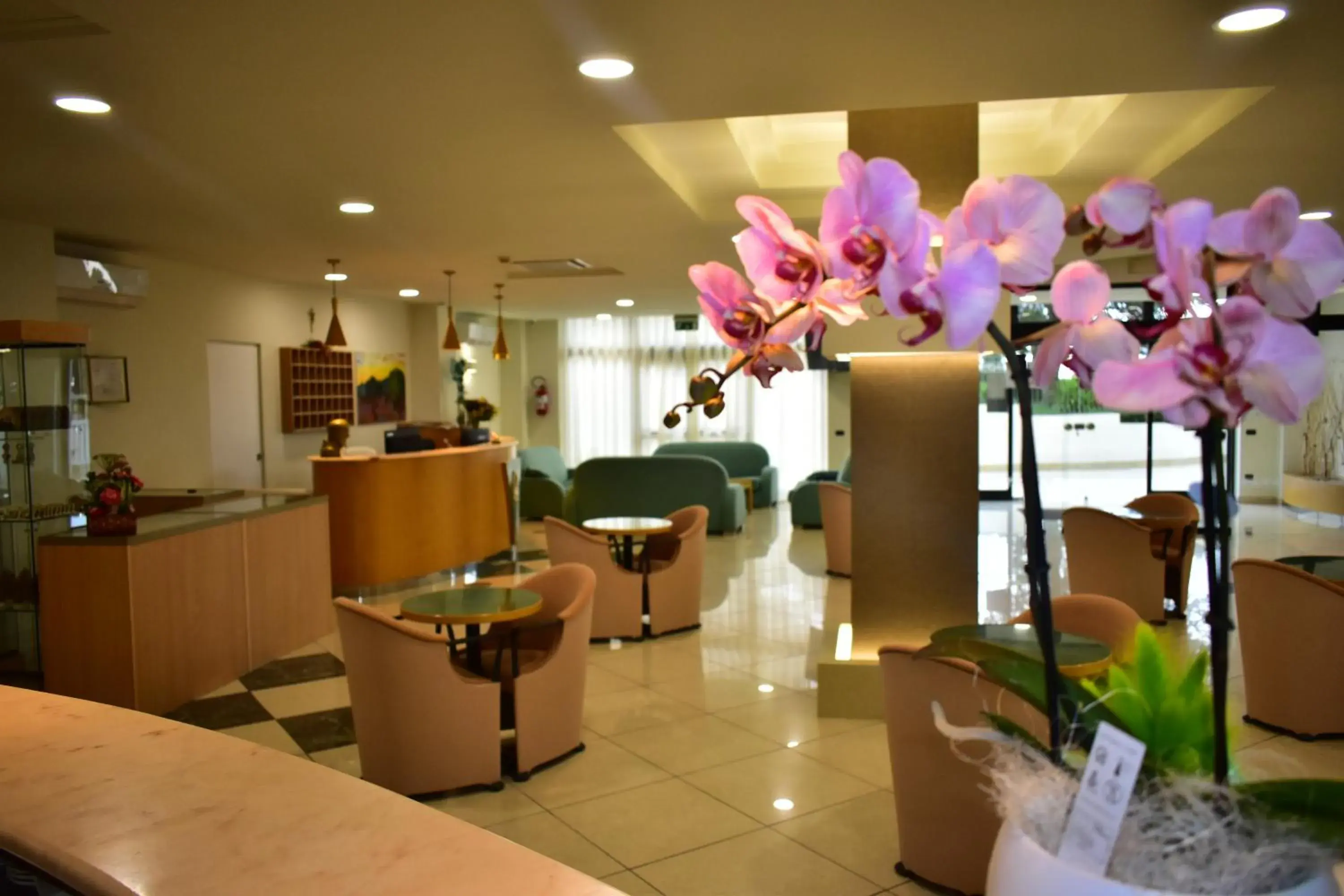 Lobby or reception in Hotel Garden