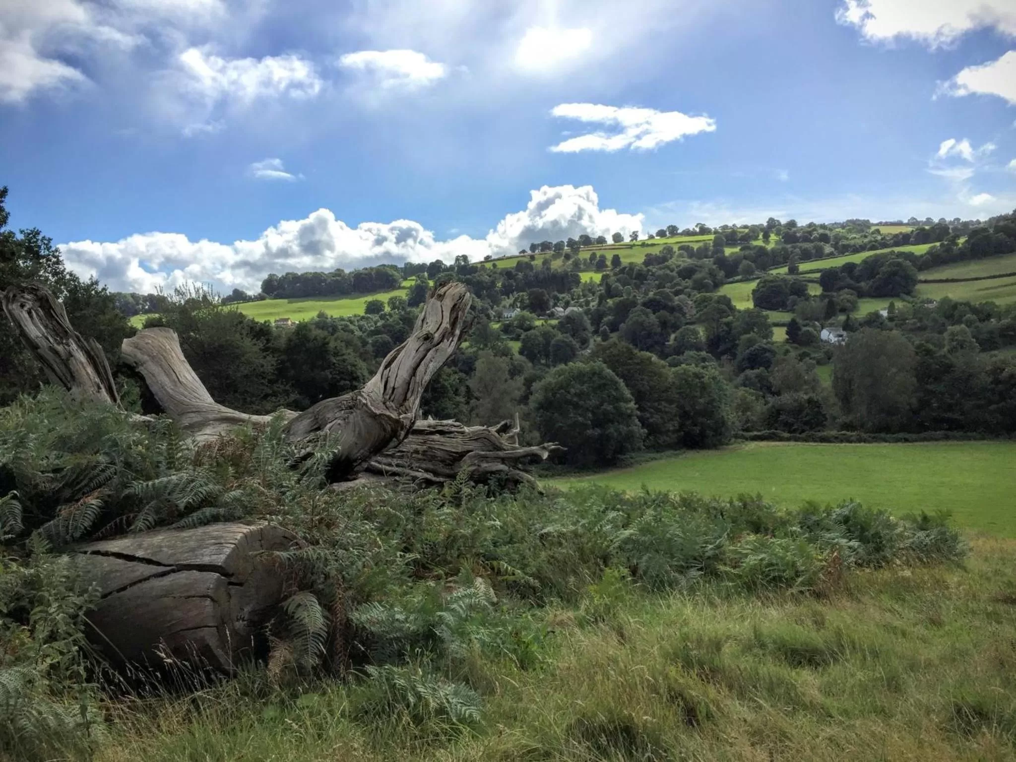 Property building in Deneview