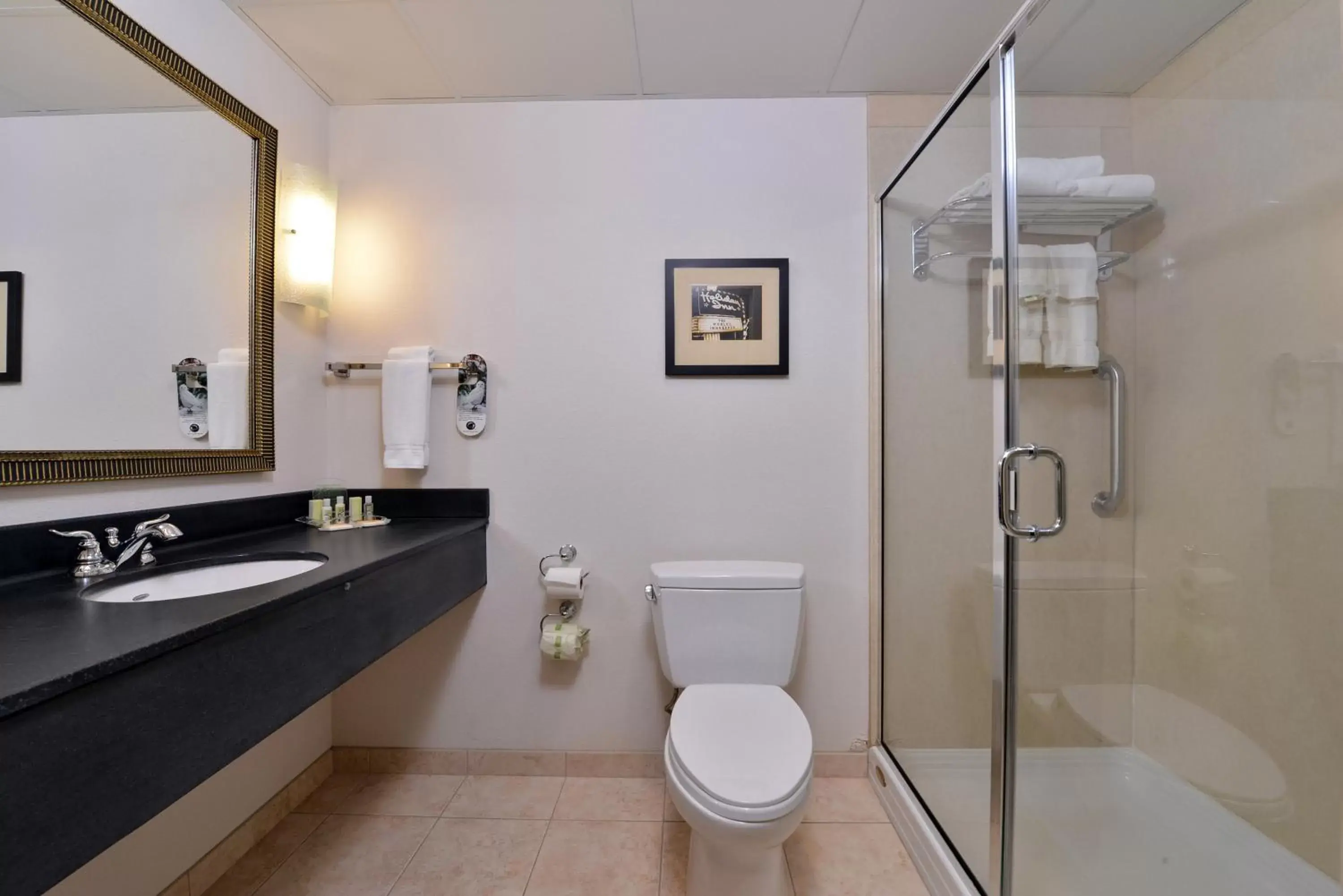 Bathroom in Holiday Inn Madison at The American Center, an IHG Hotel