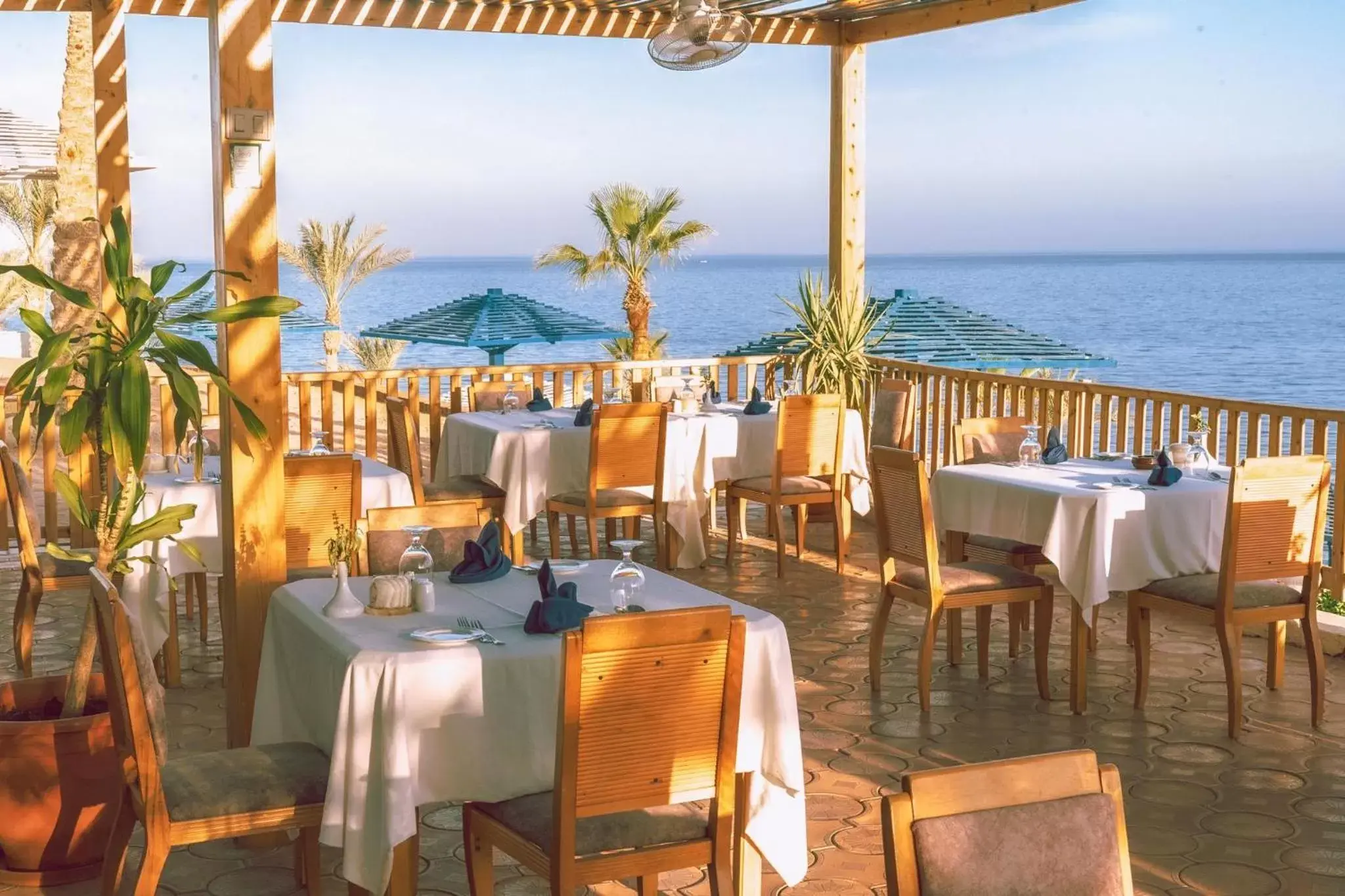 Restaurant/places to eat in Grand Oasis Resort Restaurant/places to eat in Grand Oasis Resort