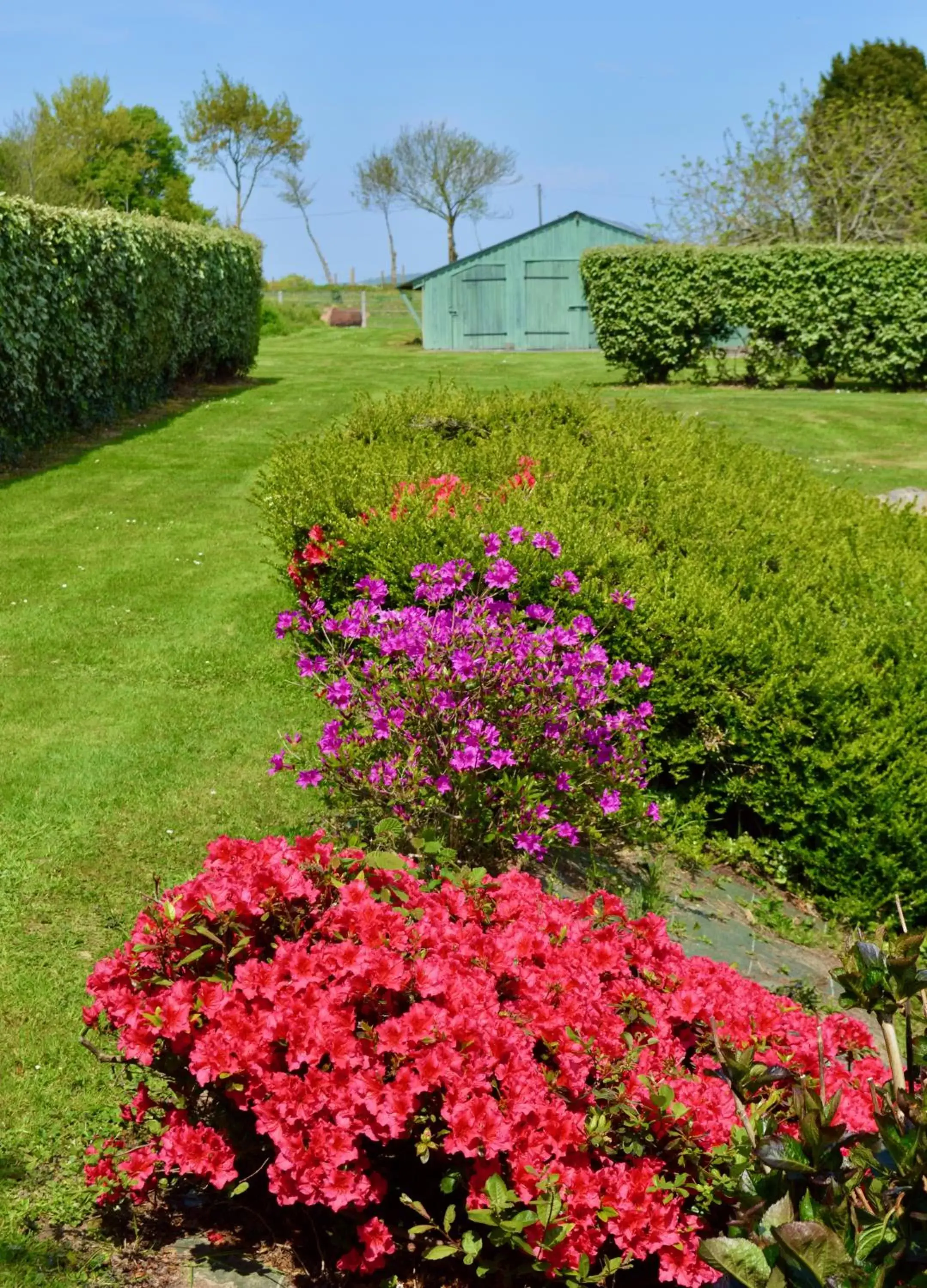 Natural landscape, Garden in La Pichonnière