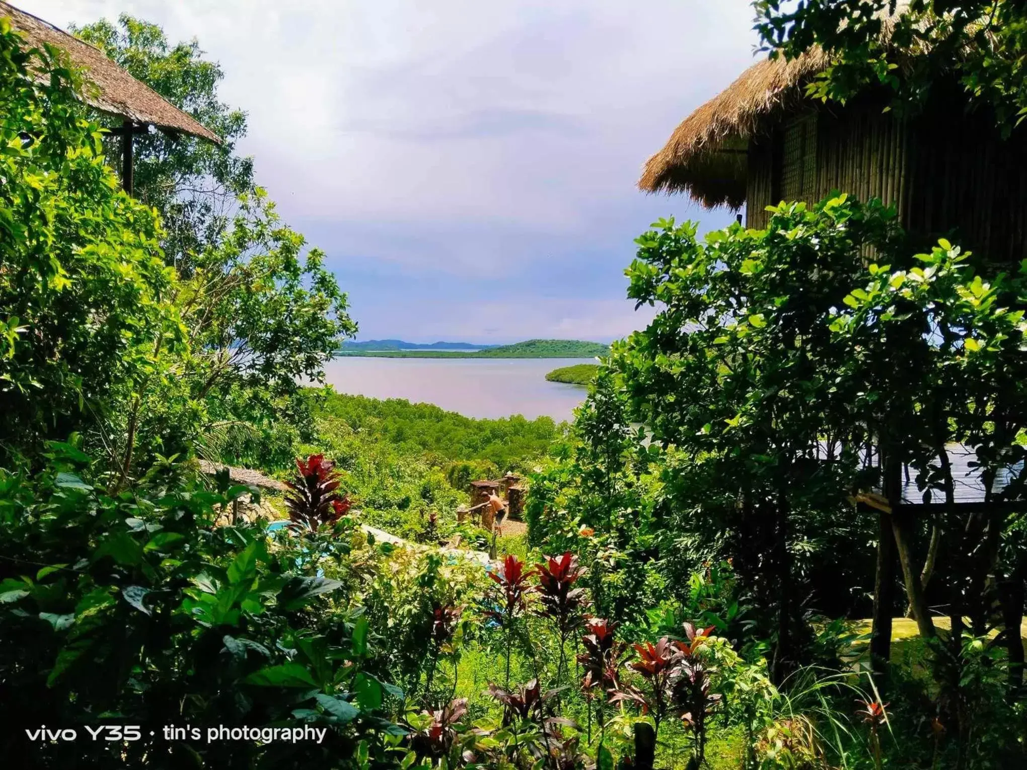 Sanctuaria Treehouses Busuanga