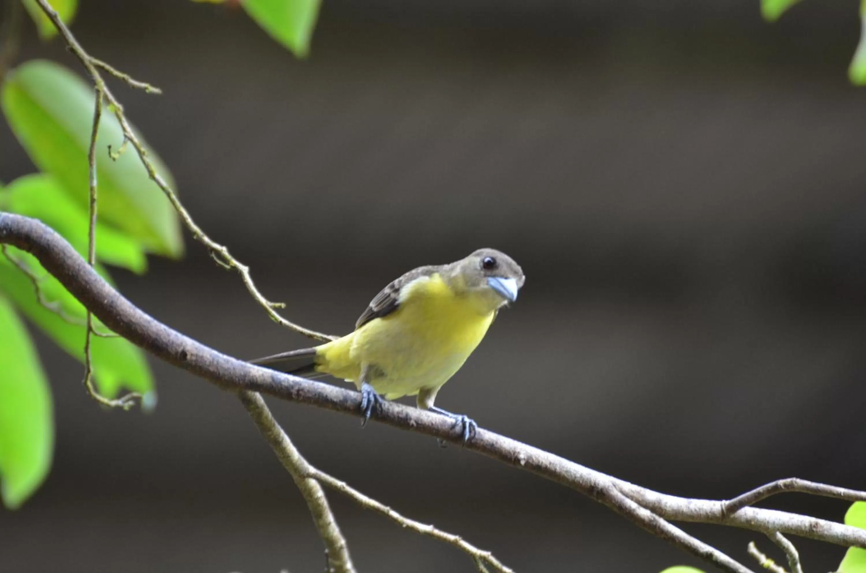 Property building in Posada Turística Rocas De Cabo Marzo