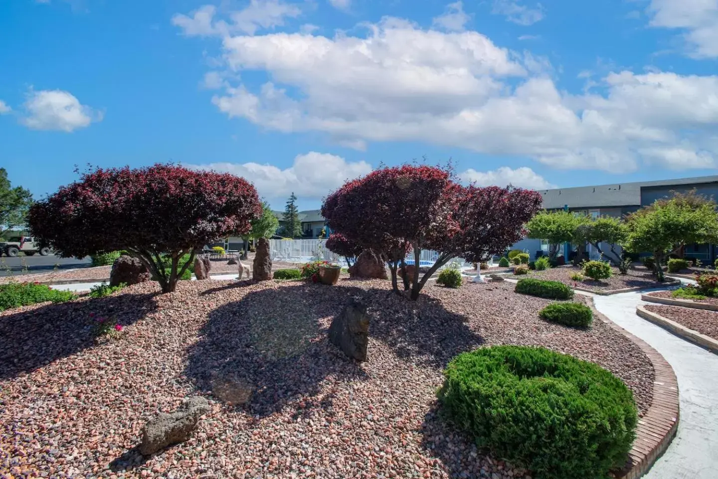 Garden view in Hotel Elev8 Flagstaff I-40 Exit 198 Butler Ave