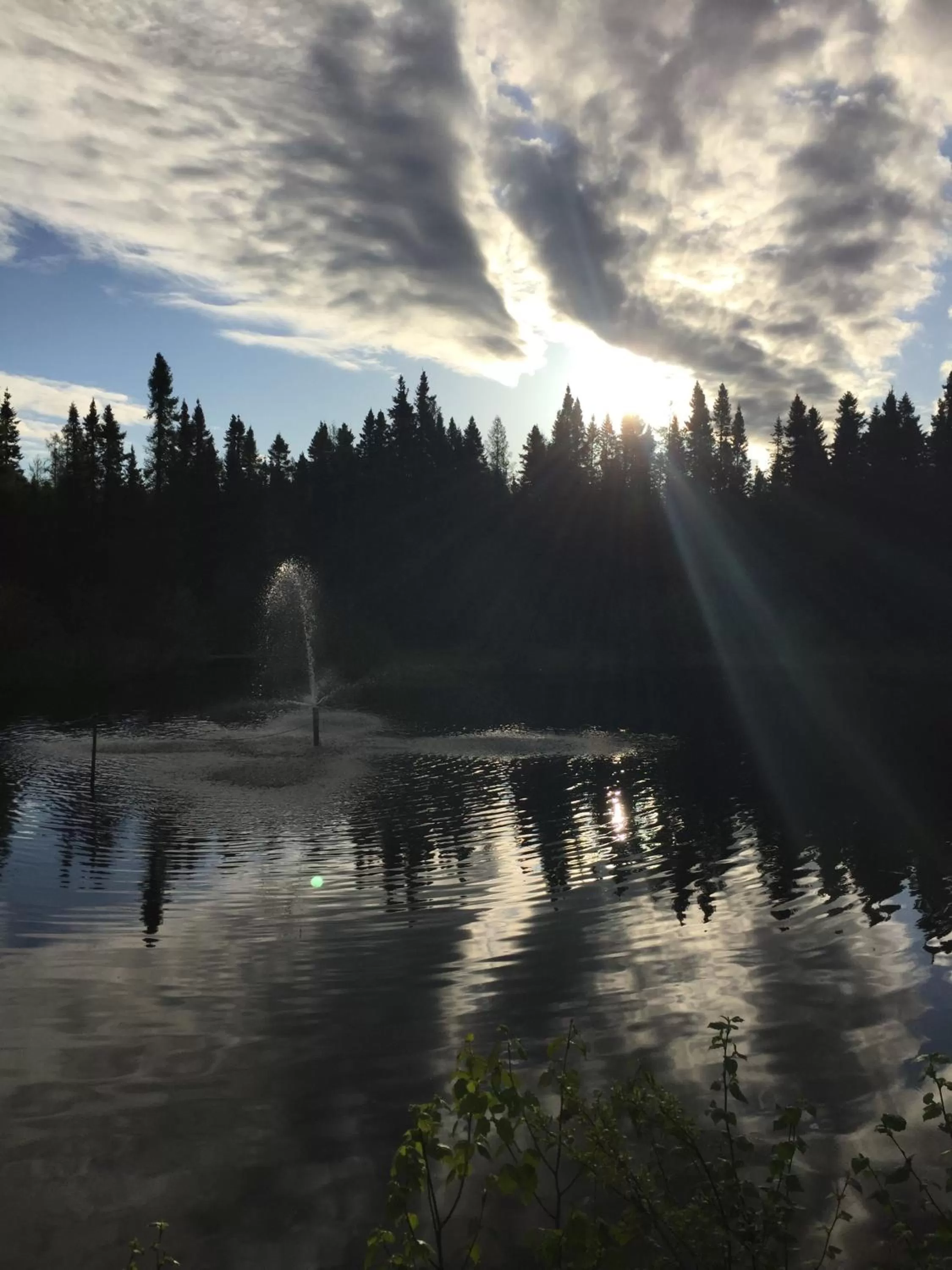 Natural landscape in Gîte de la Montagne Enchantée