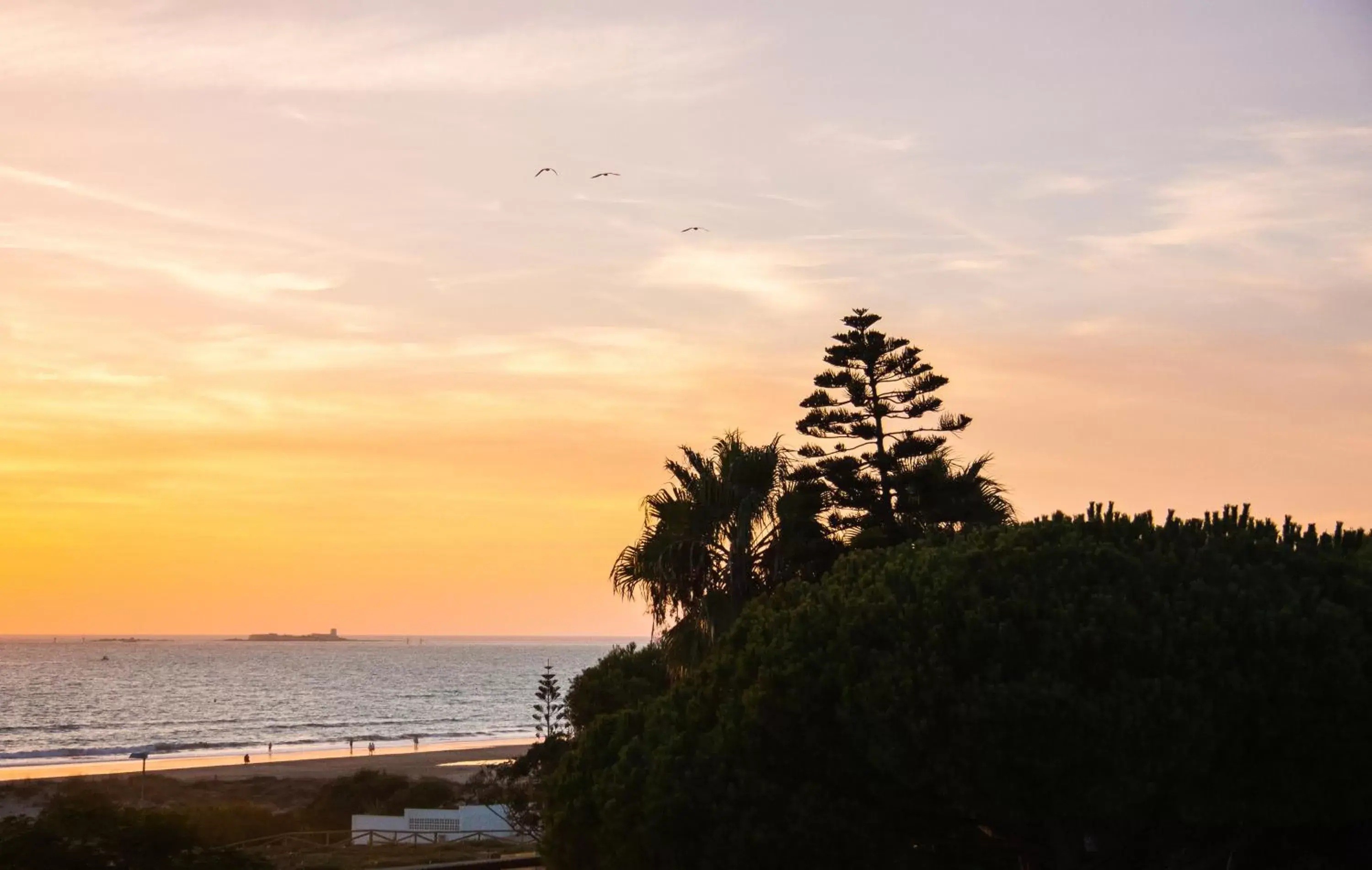 Sea view, Sunrise/Sunset in Hotel Novomar