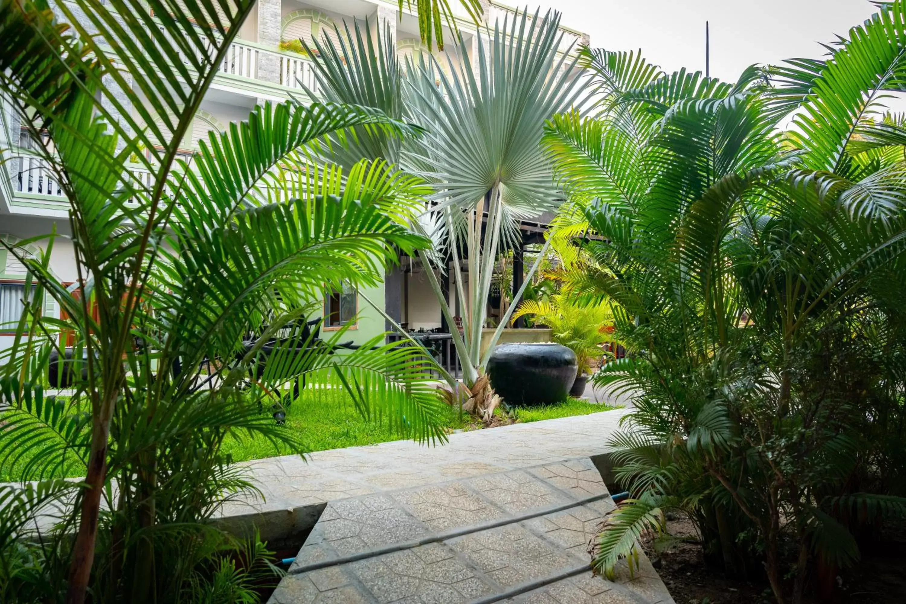 Garden in Reveal Angkor Hotel