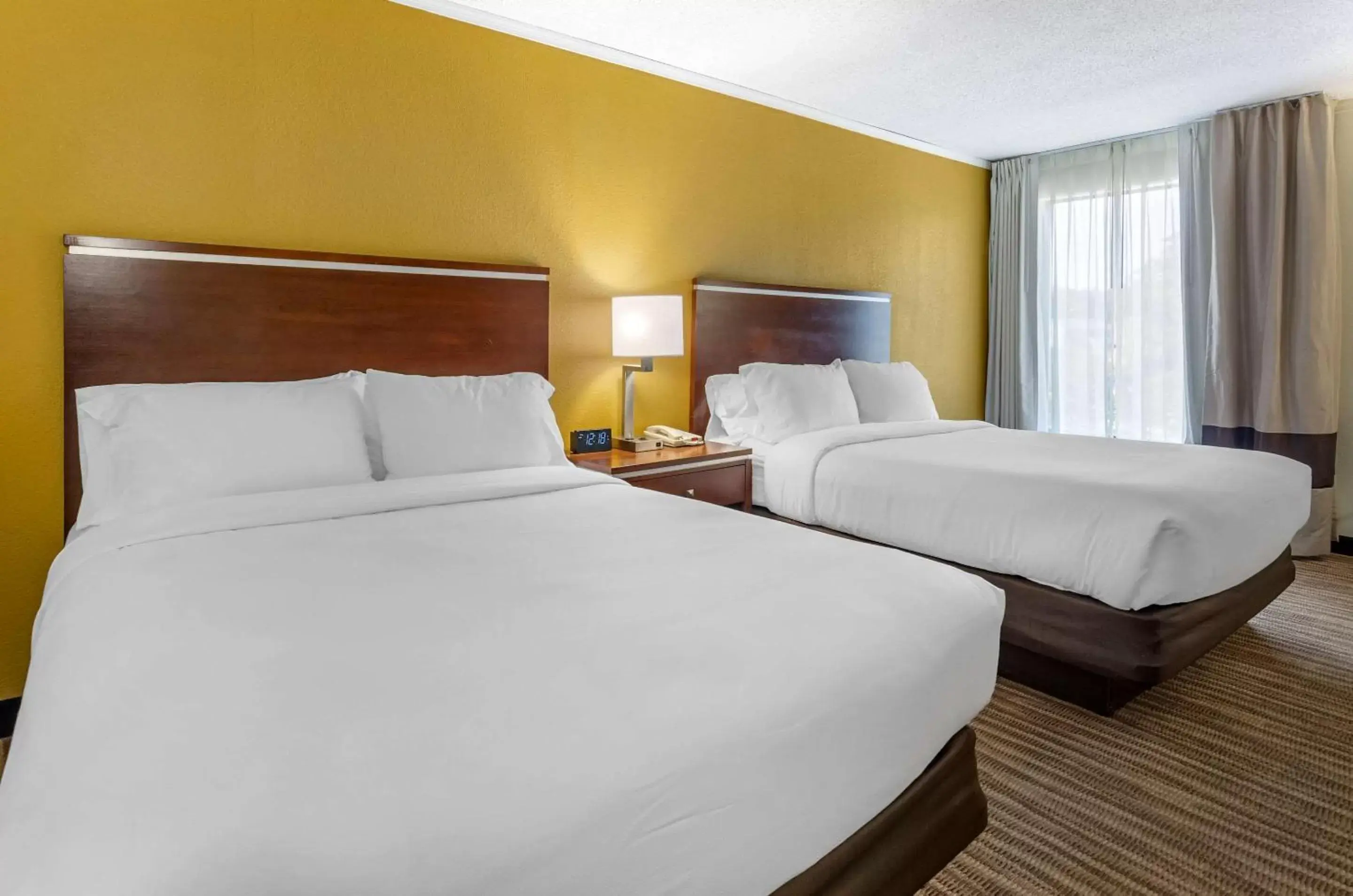 Photo of the whole room, Bed in Comfort Inn Roanoke Civic Center