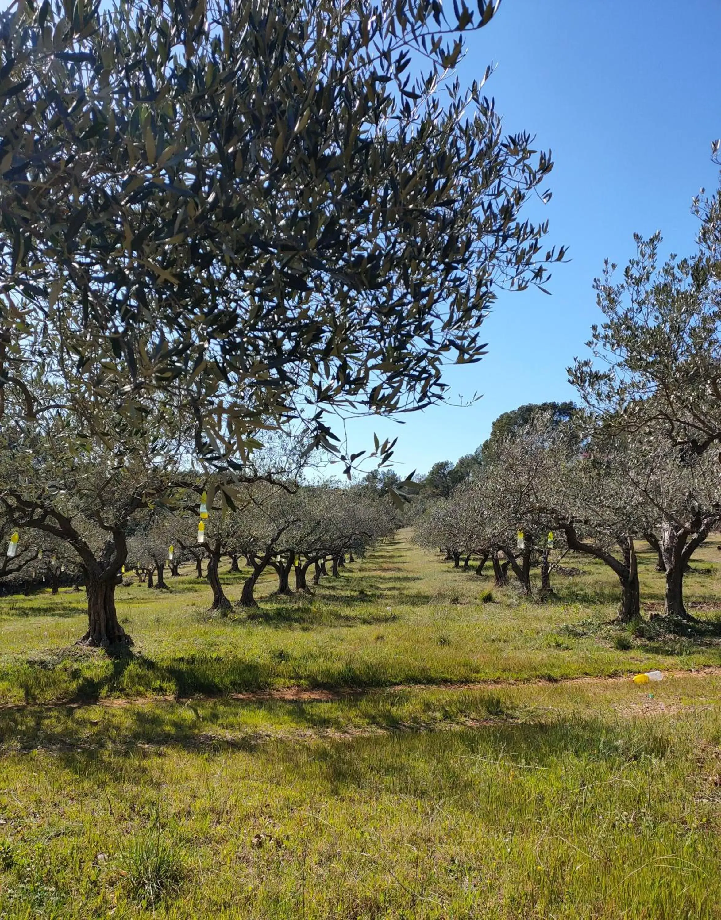 Neighbourhood, Garden in Les Hauts du Peireguier