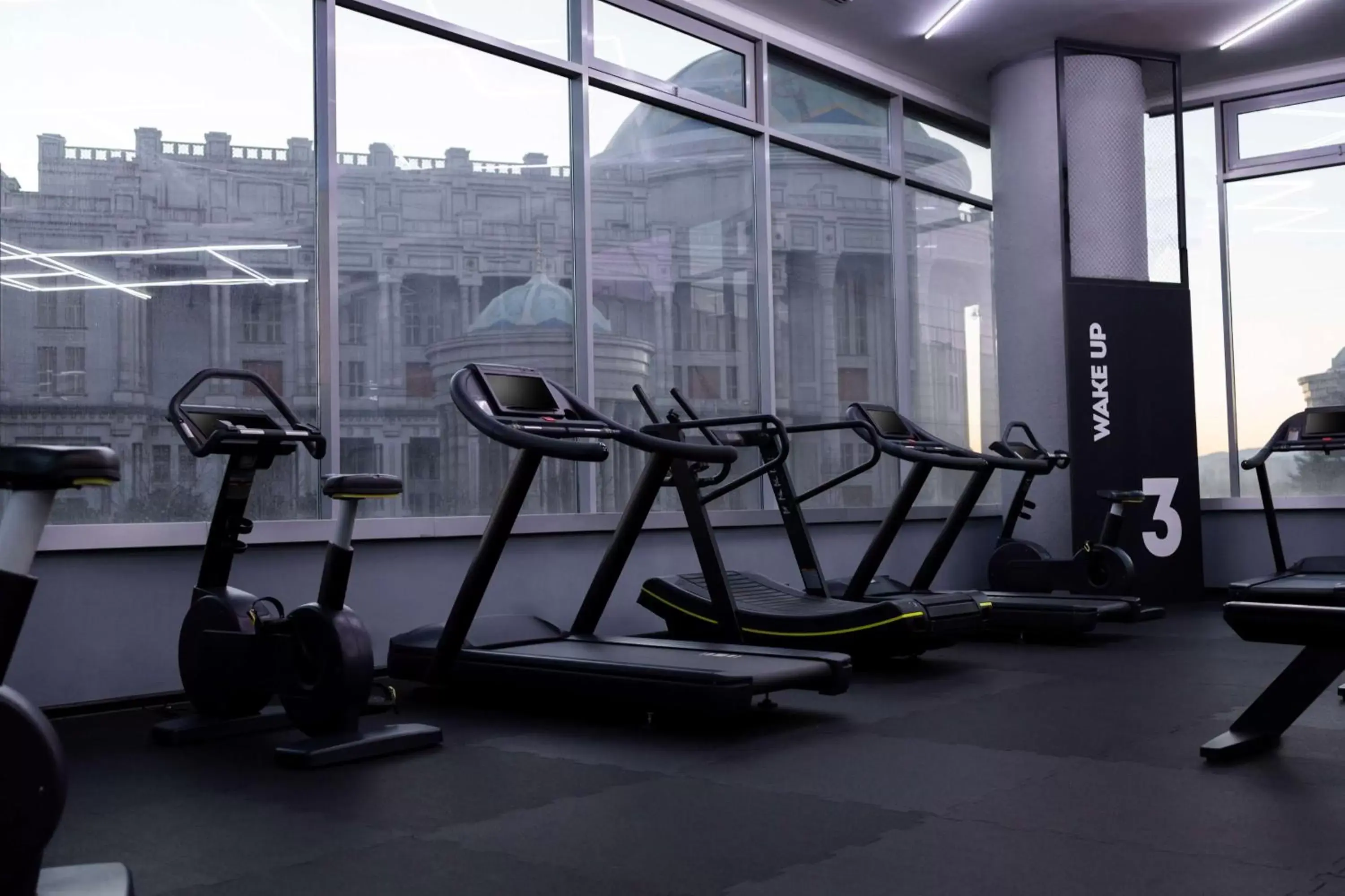 Fitness centre/facilities, Fitness Center/Facilities in Hyatt Regency Dushanbe