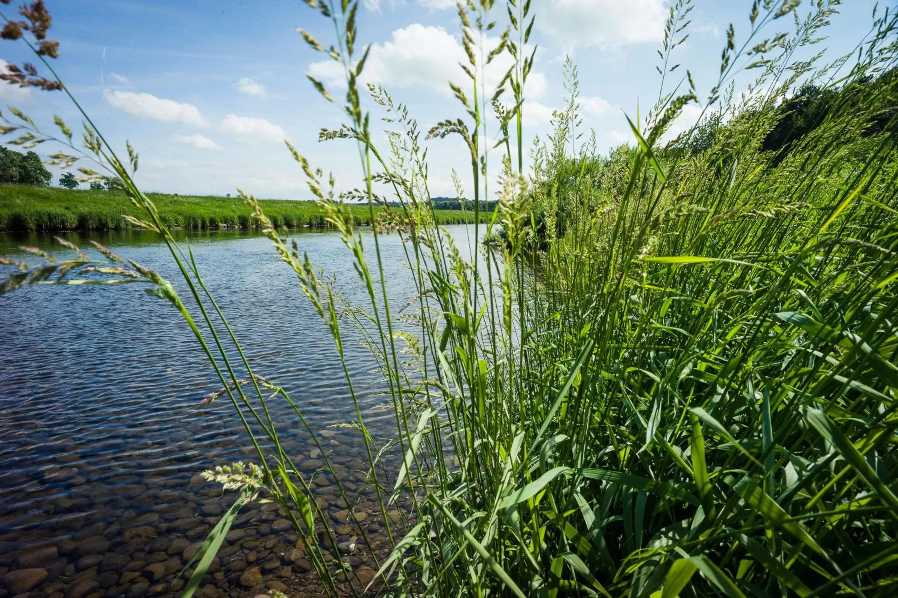 Natural landscape in Edenhall Country Hotel