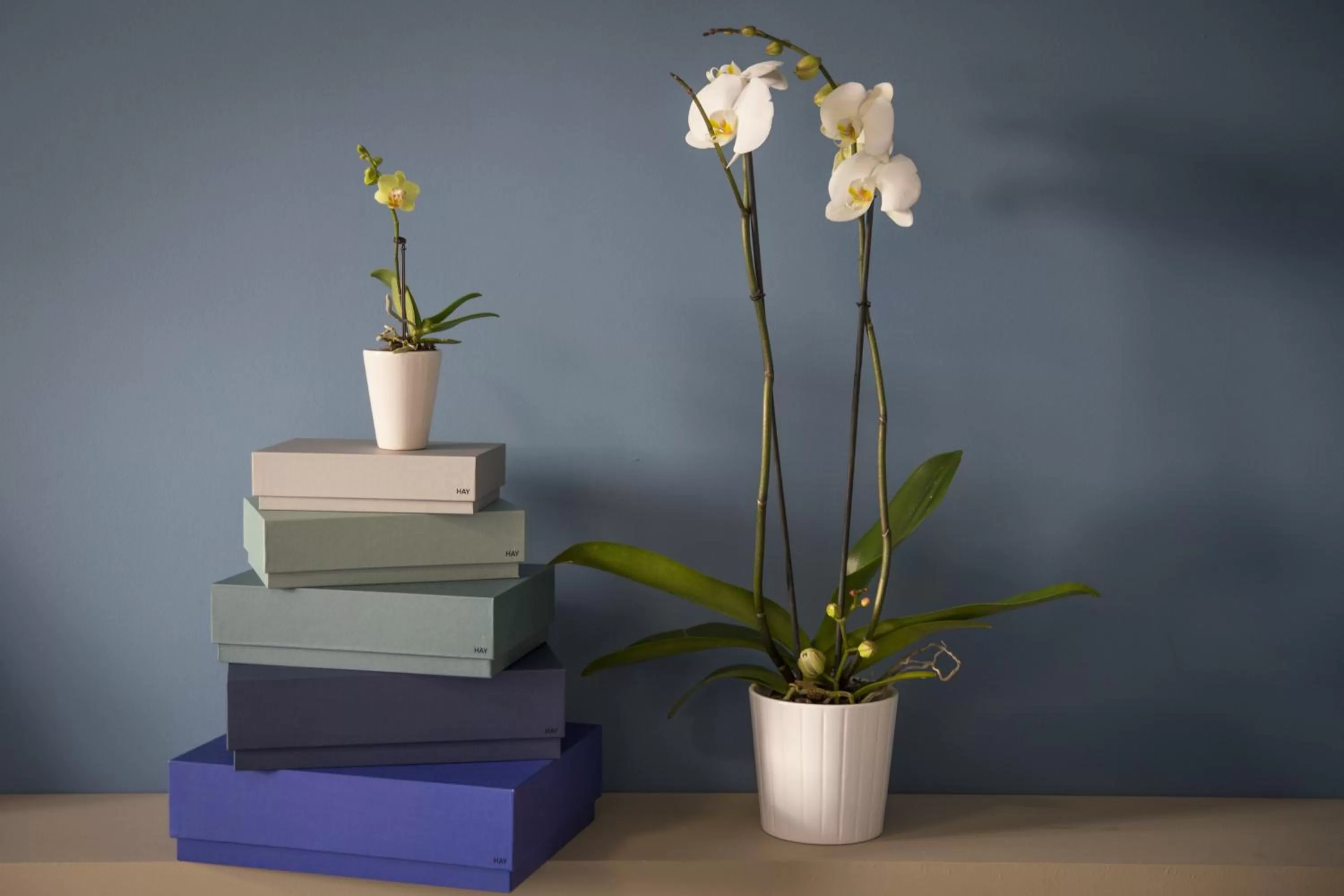 Decorative detail in Residence Milano Bicocca