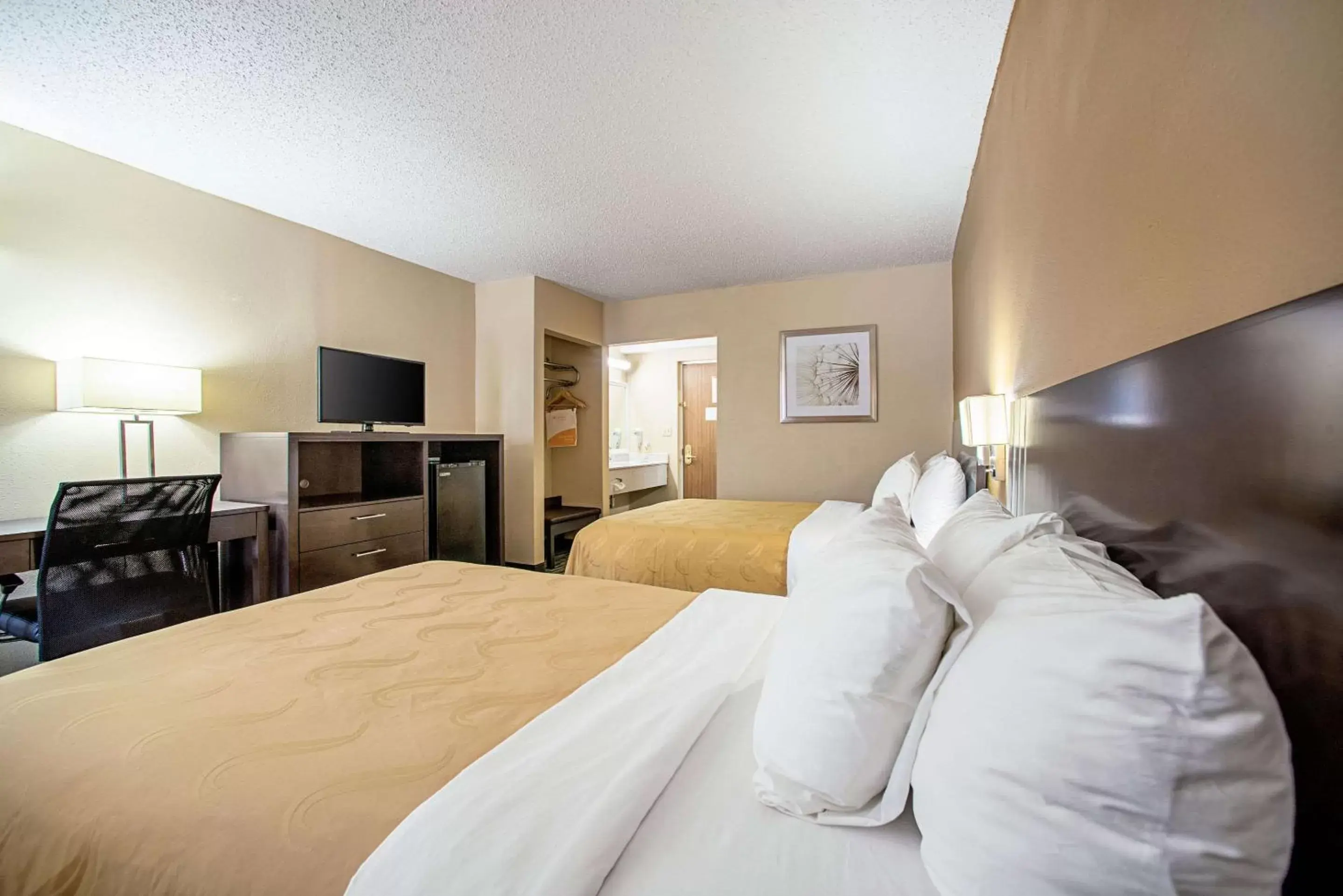 Photo of the whole room, Bed in Quality Inn Near Six Flags St. Louis