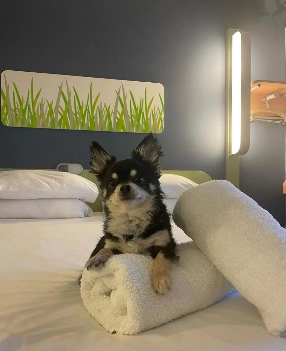 Bedroom in ibis budget Belfast City Centre Bedroom in ibis budget Belfast City Centre