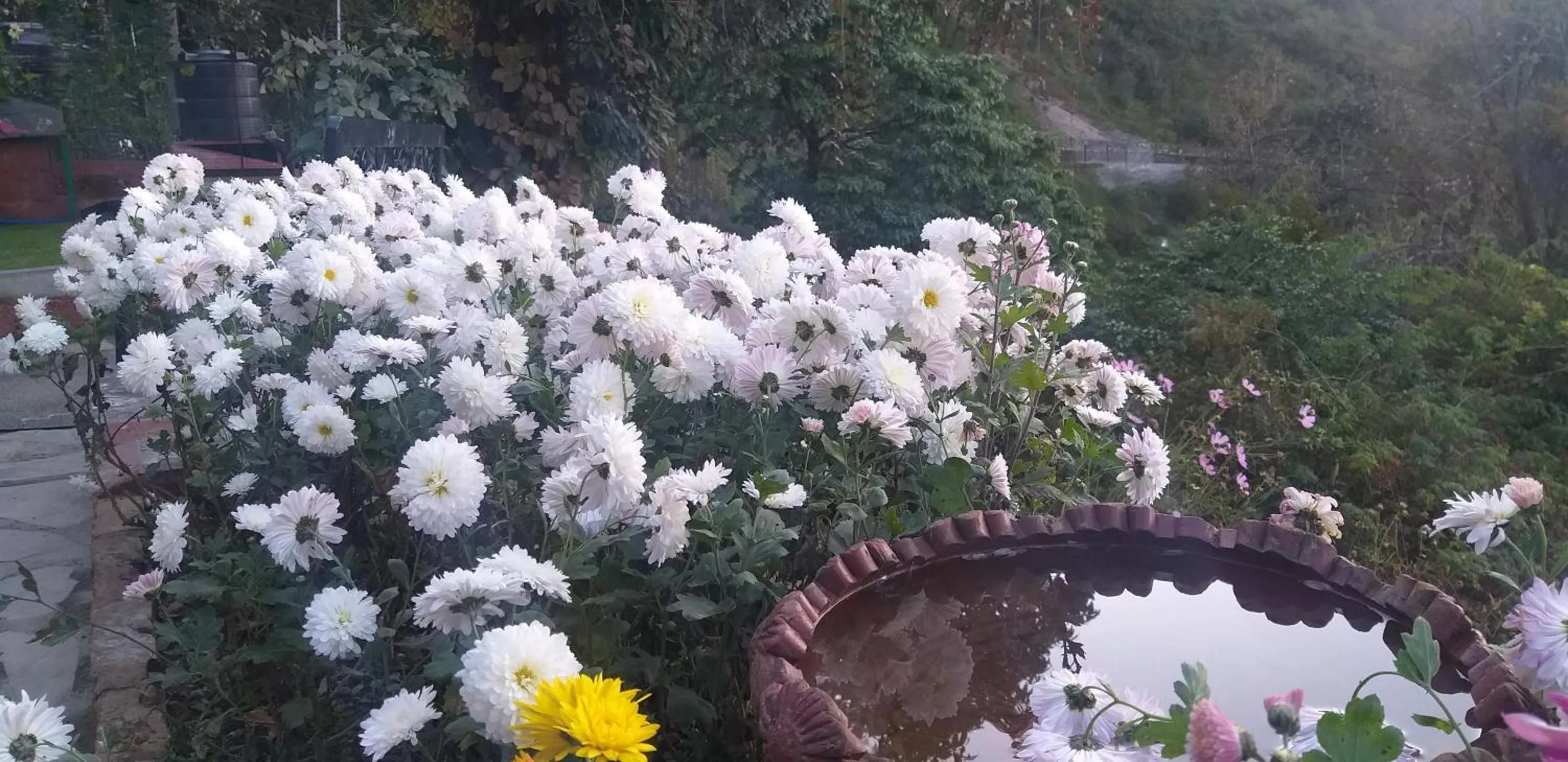 Property building in Hotel SunGrace