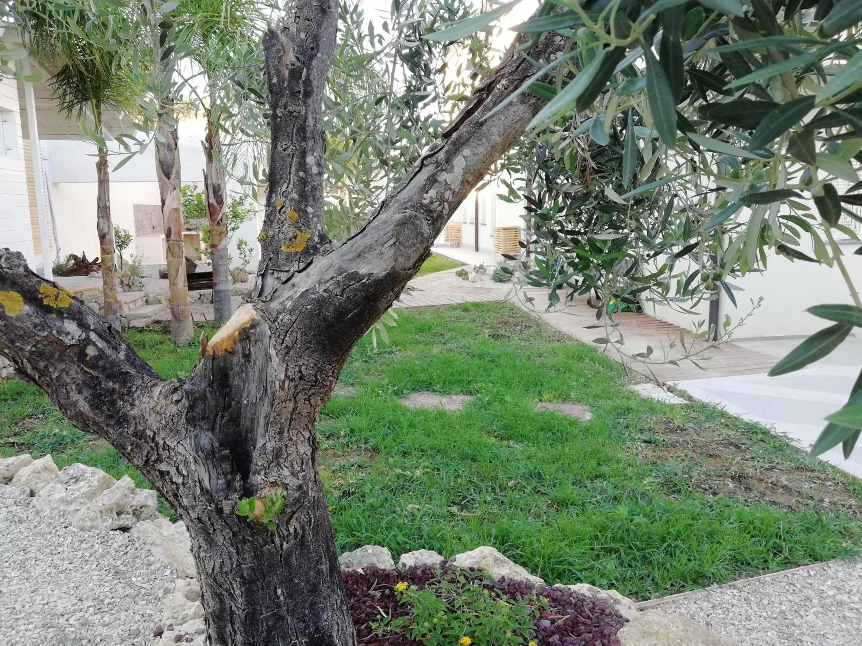 Natural landscape in B&B Villa Kairos