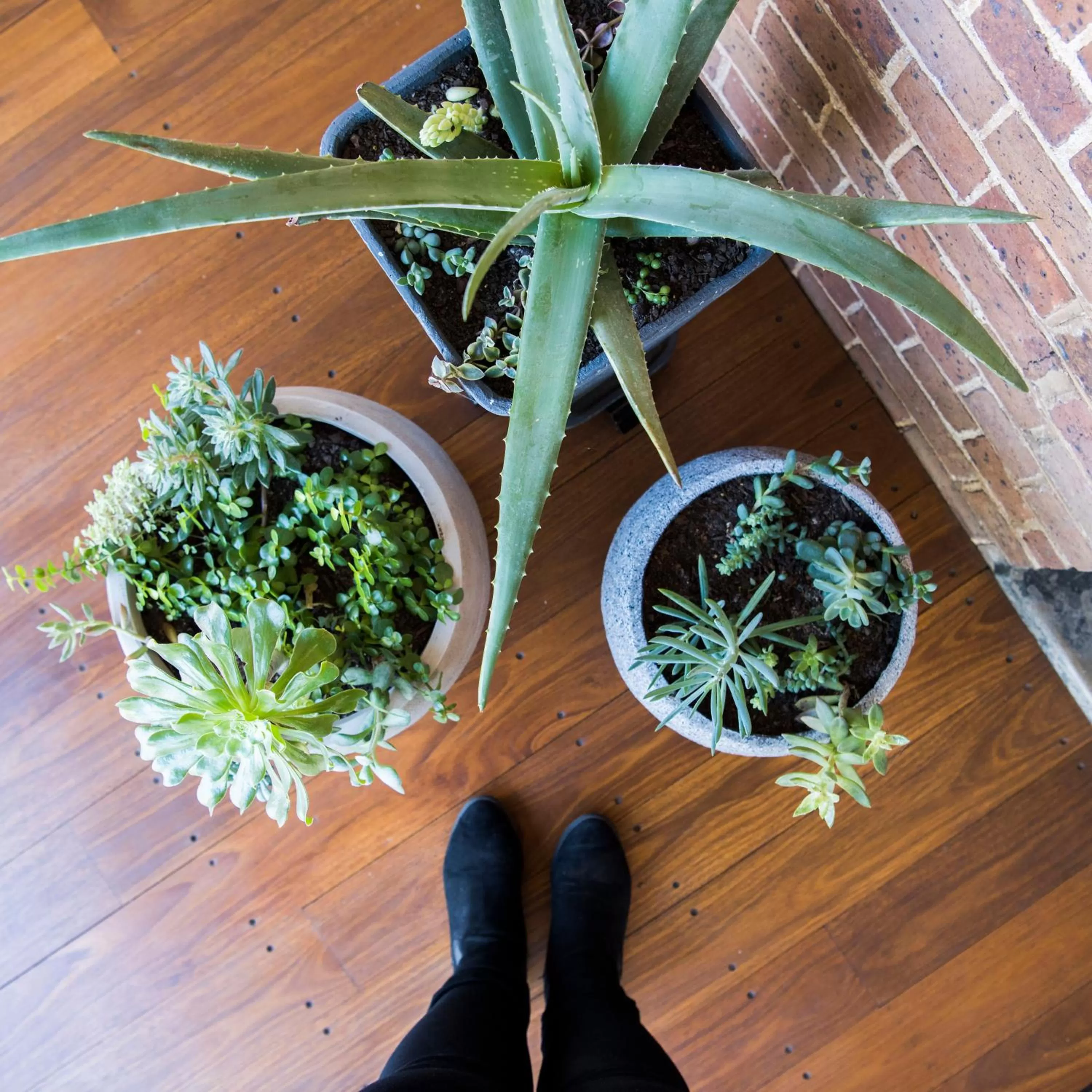 Balcony/Terrace in The Parkview Hotel Mudgee