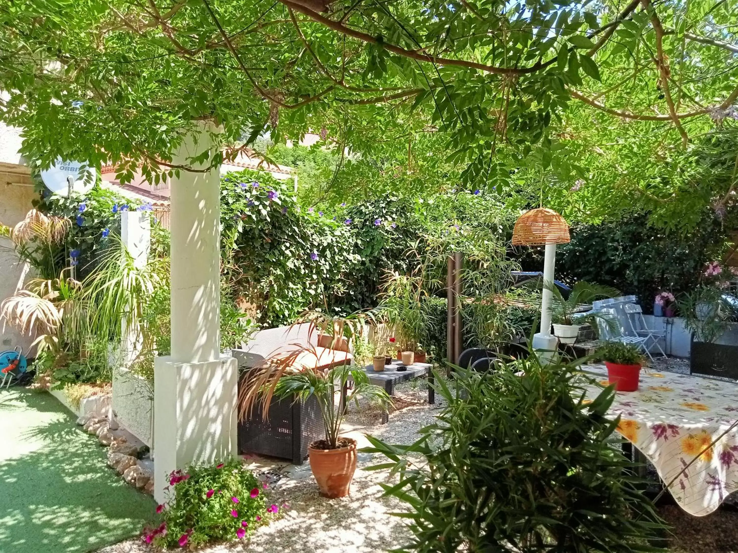 Garden in Chez Louis