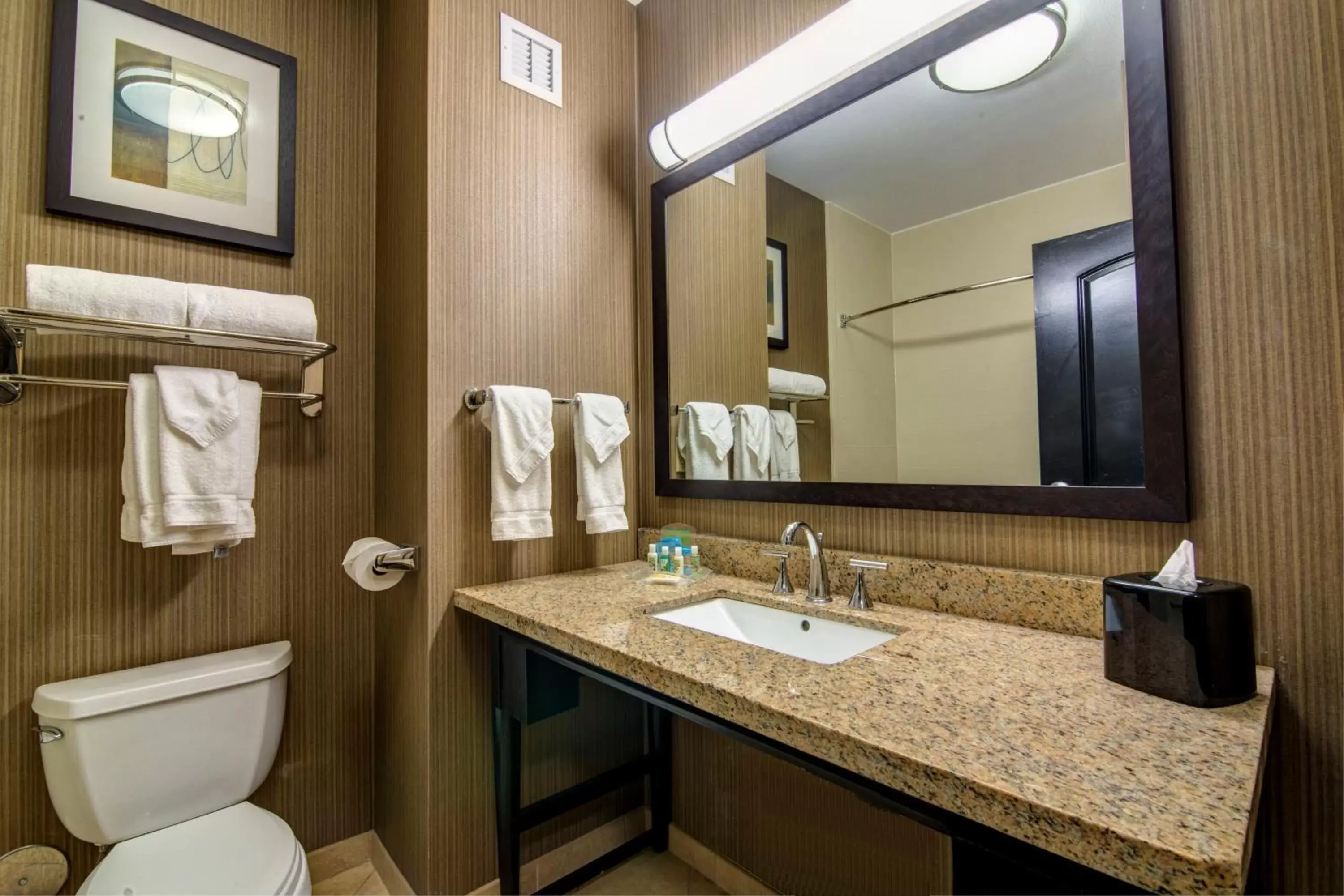 Bathroom in Holiday Inn Arlington Northeast, an IHG Hotel