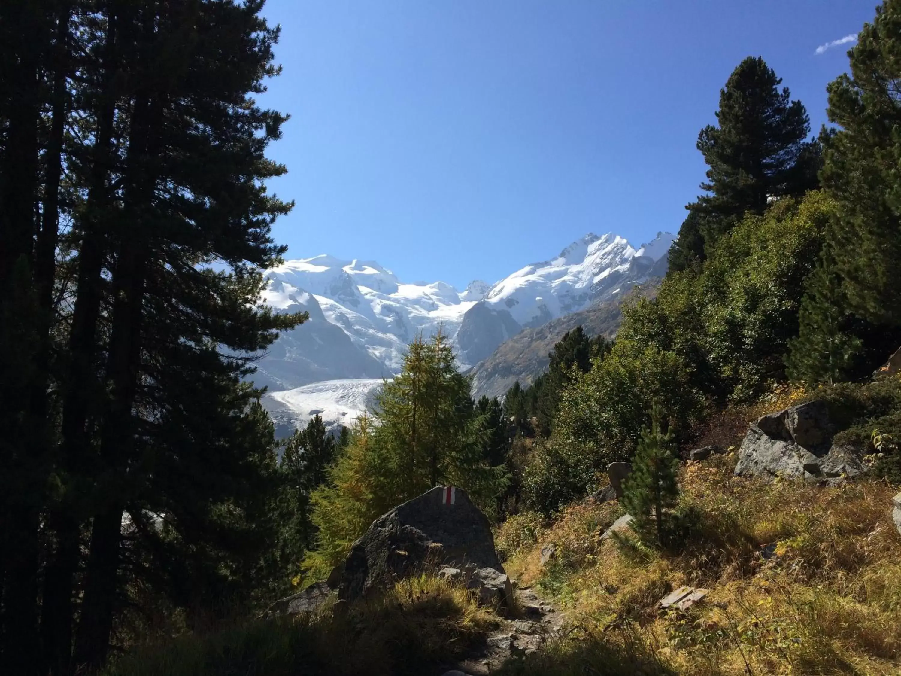 Hiking, Mountain View in Hotel Bernina