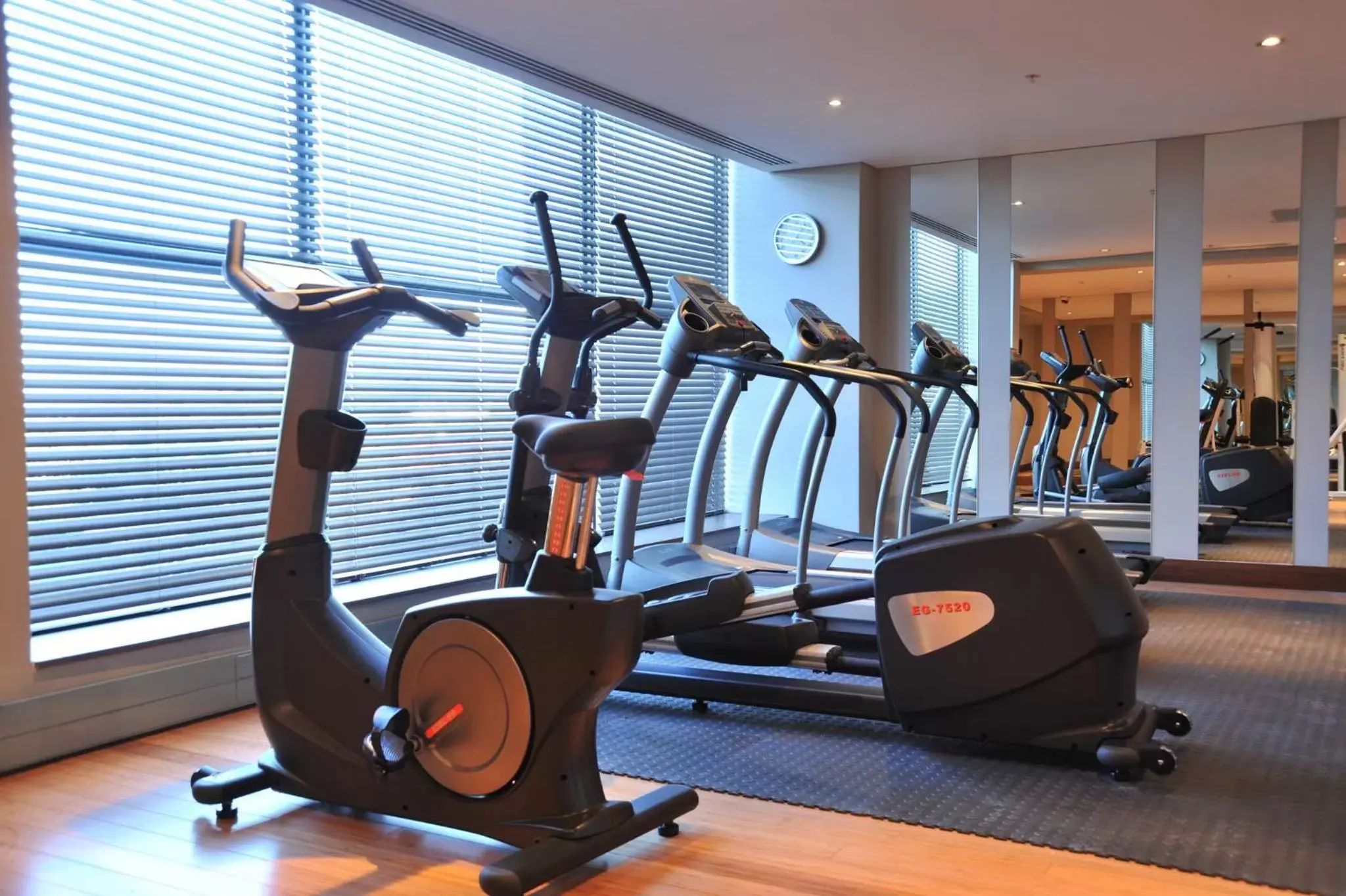 Fitness centre/facilities, Fitness Center/Facilities in Holiday Inn Johannesburg-Rosebank, an IHG Hotel