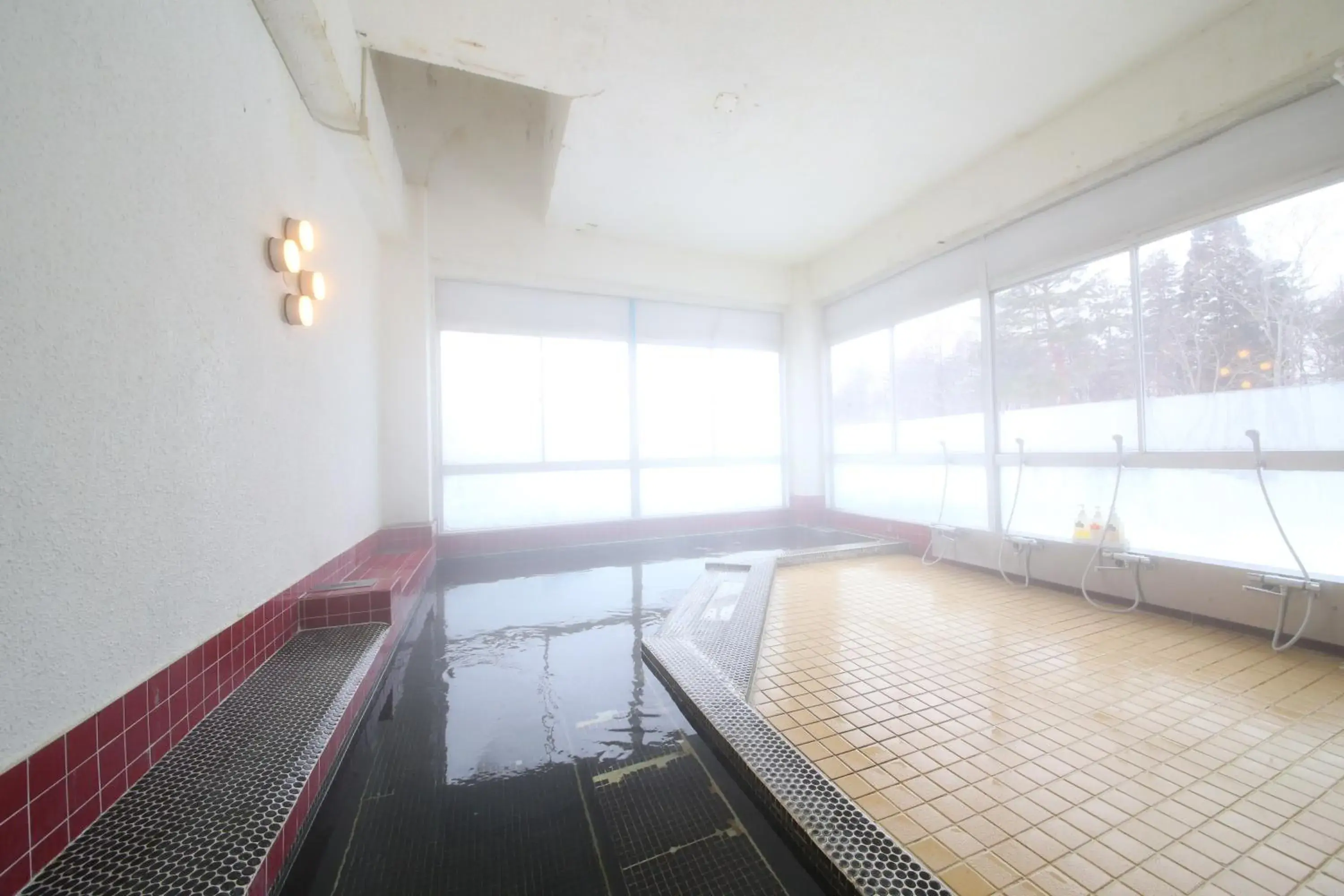 Public Bath, Swimming Pool in Hotel Tagawa