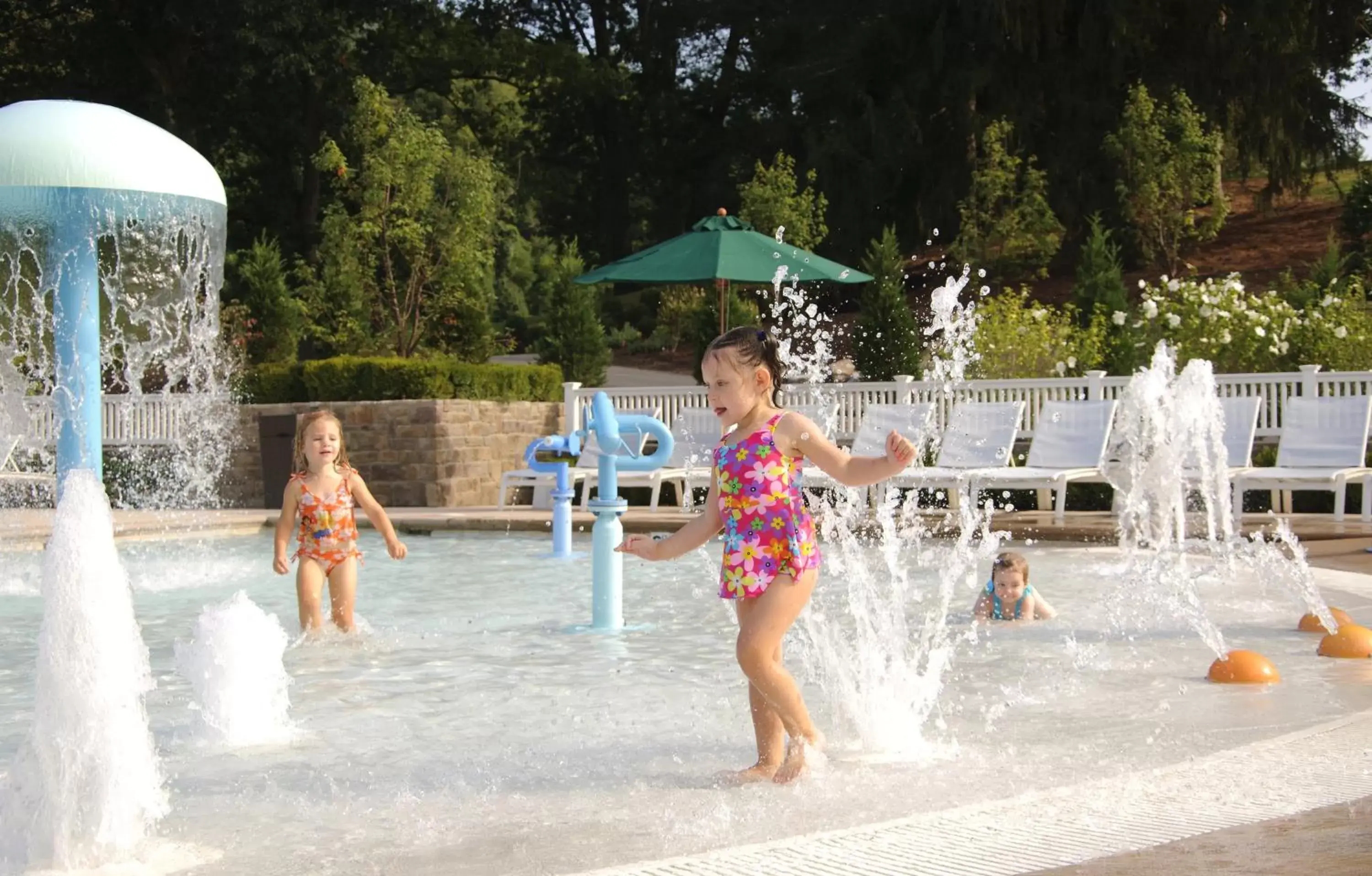 Swimming pool in The Omni Homestead Resort