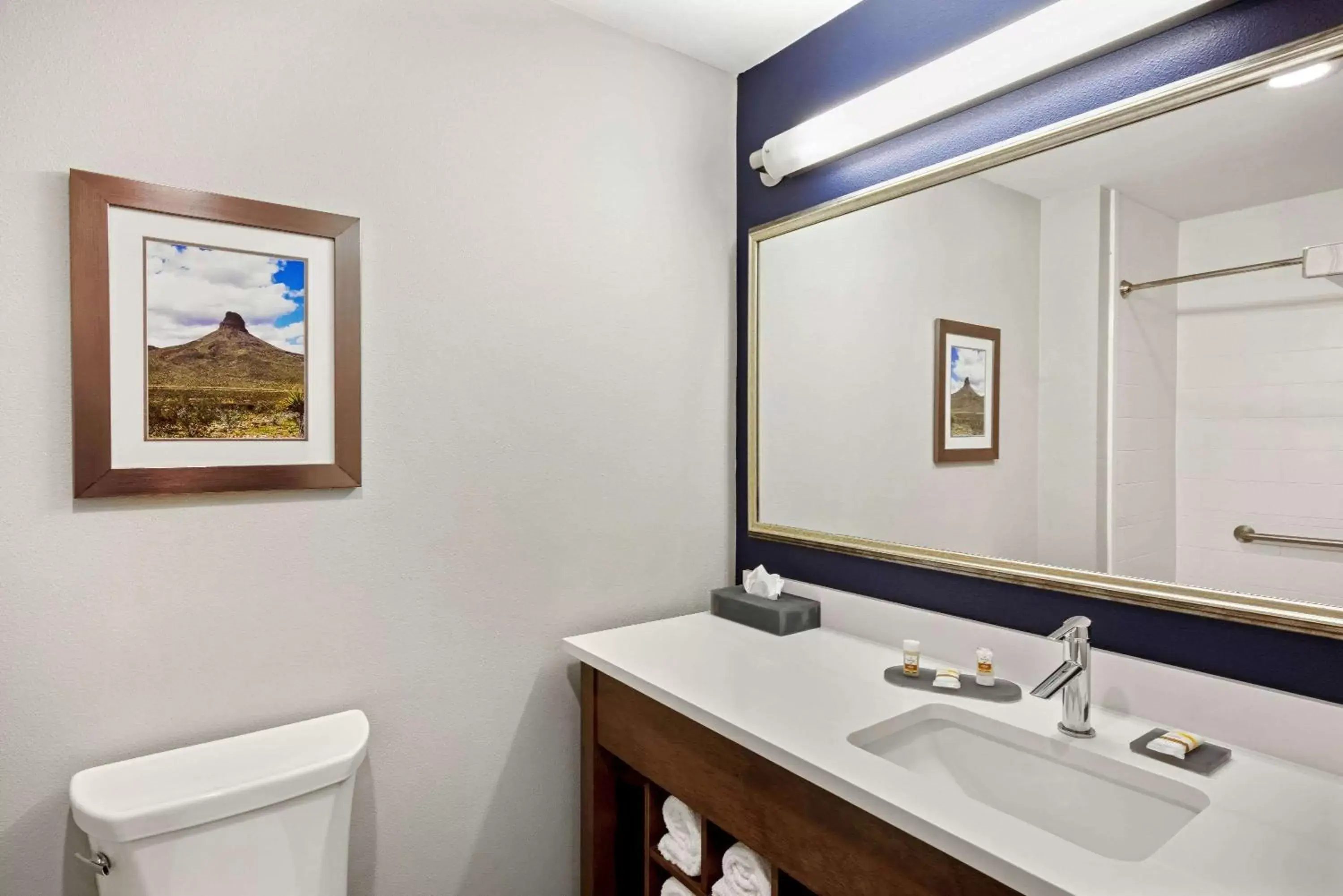 Bathroom in La Quinta by Wyndham Kingman Bathroom in La Quinta by Wyndham Kingman