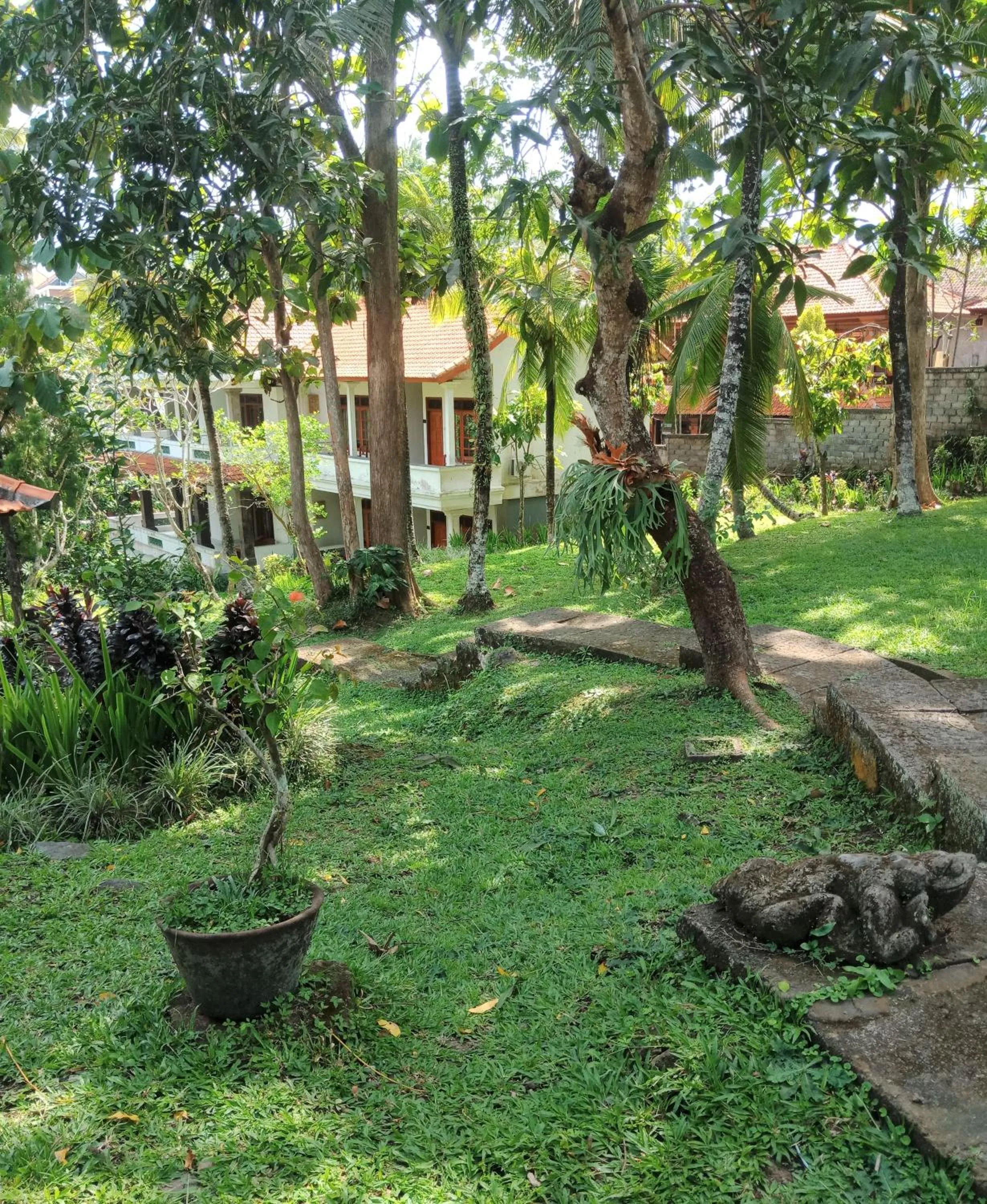 Garden in Argasoka Bungalows