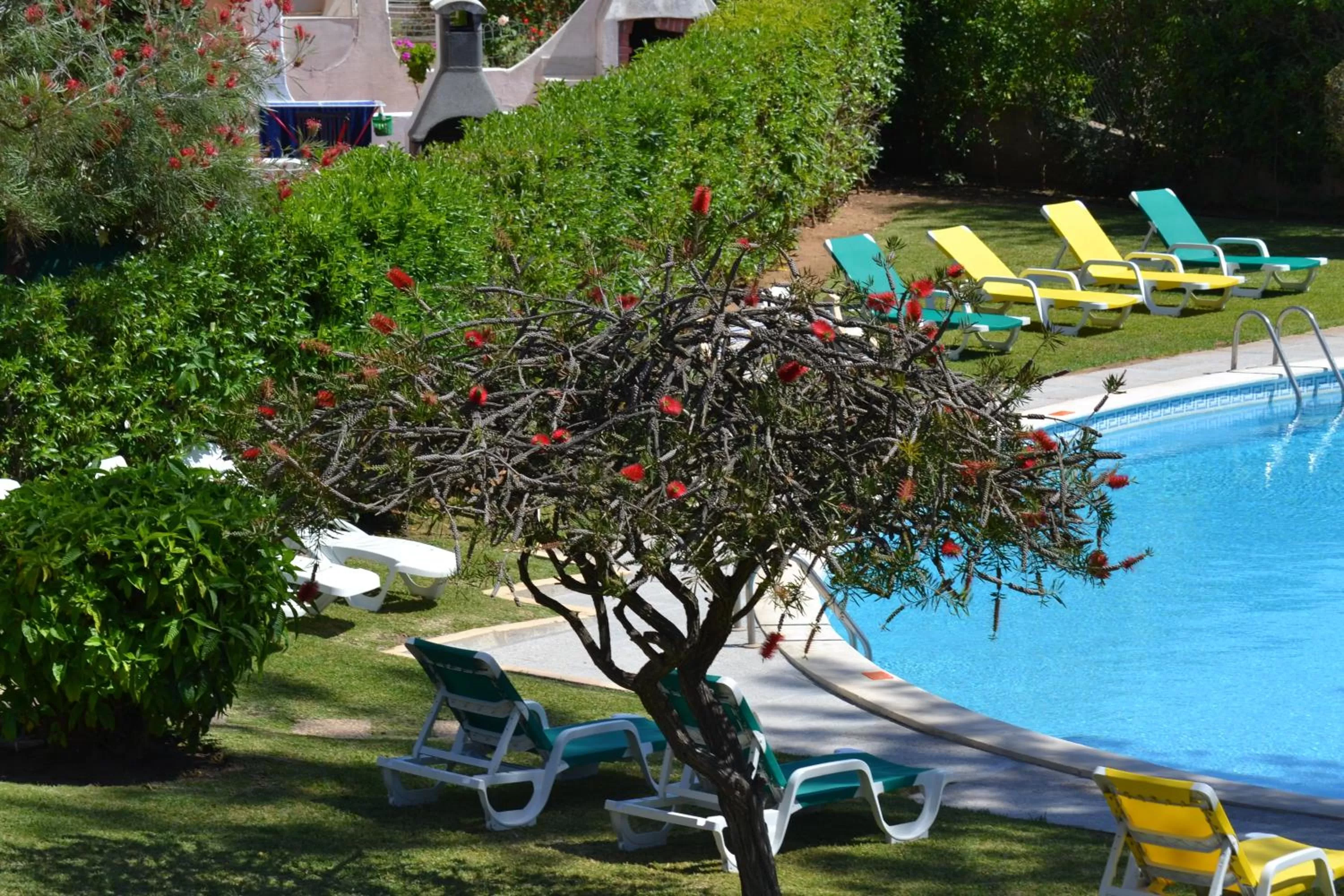 Garden in Apartamentos Mar-Sol Villas