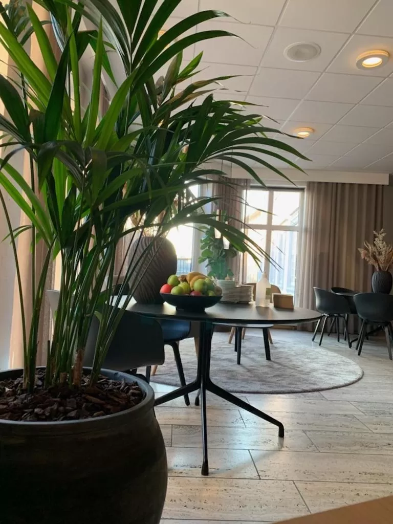 Communal lounge/ TV room in Hotel Skivehus