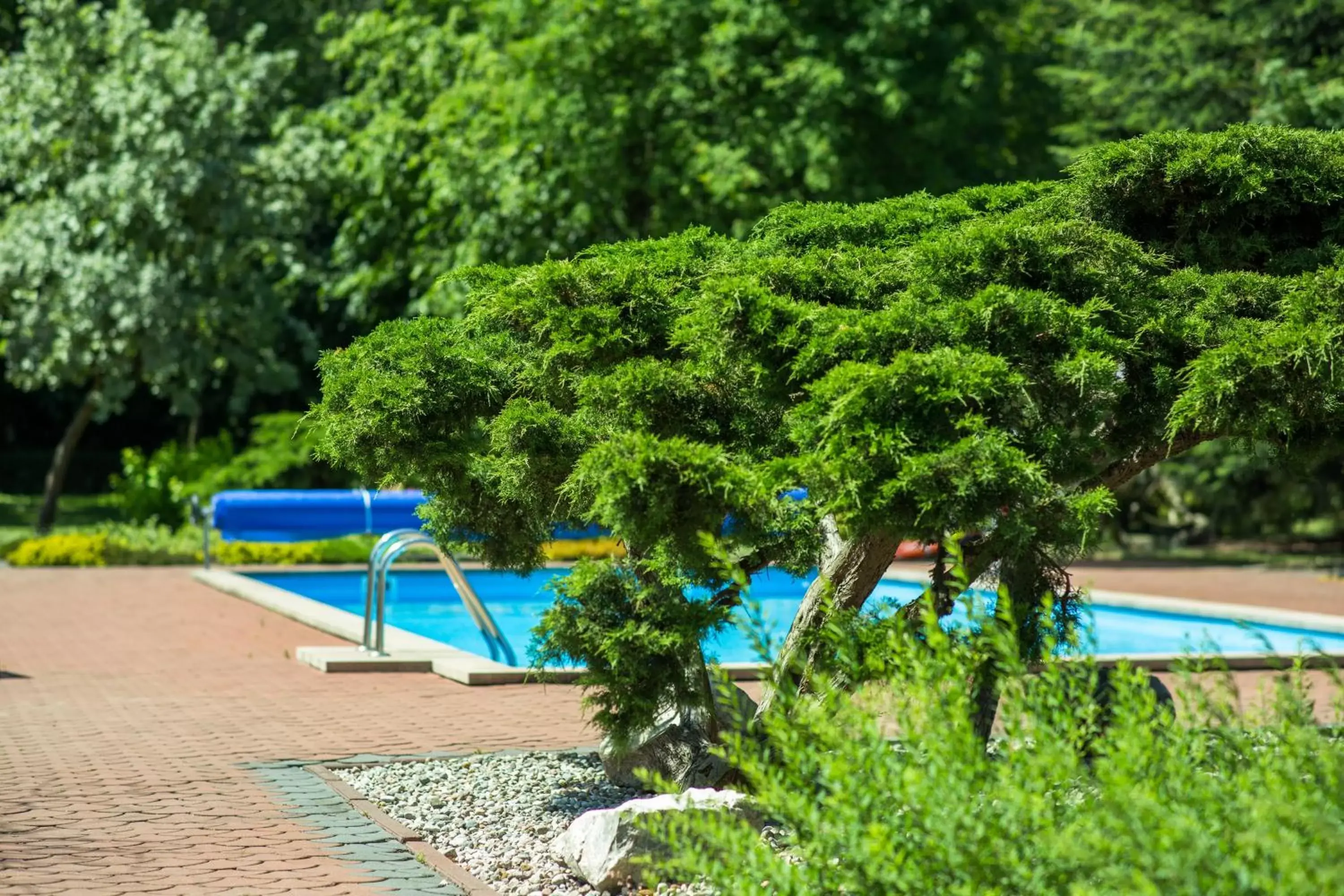 Garden, Swimming Pool in Novotel Poznań Malta