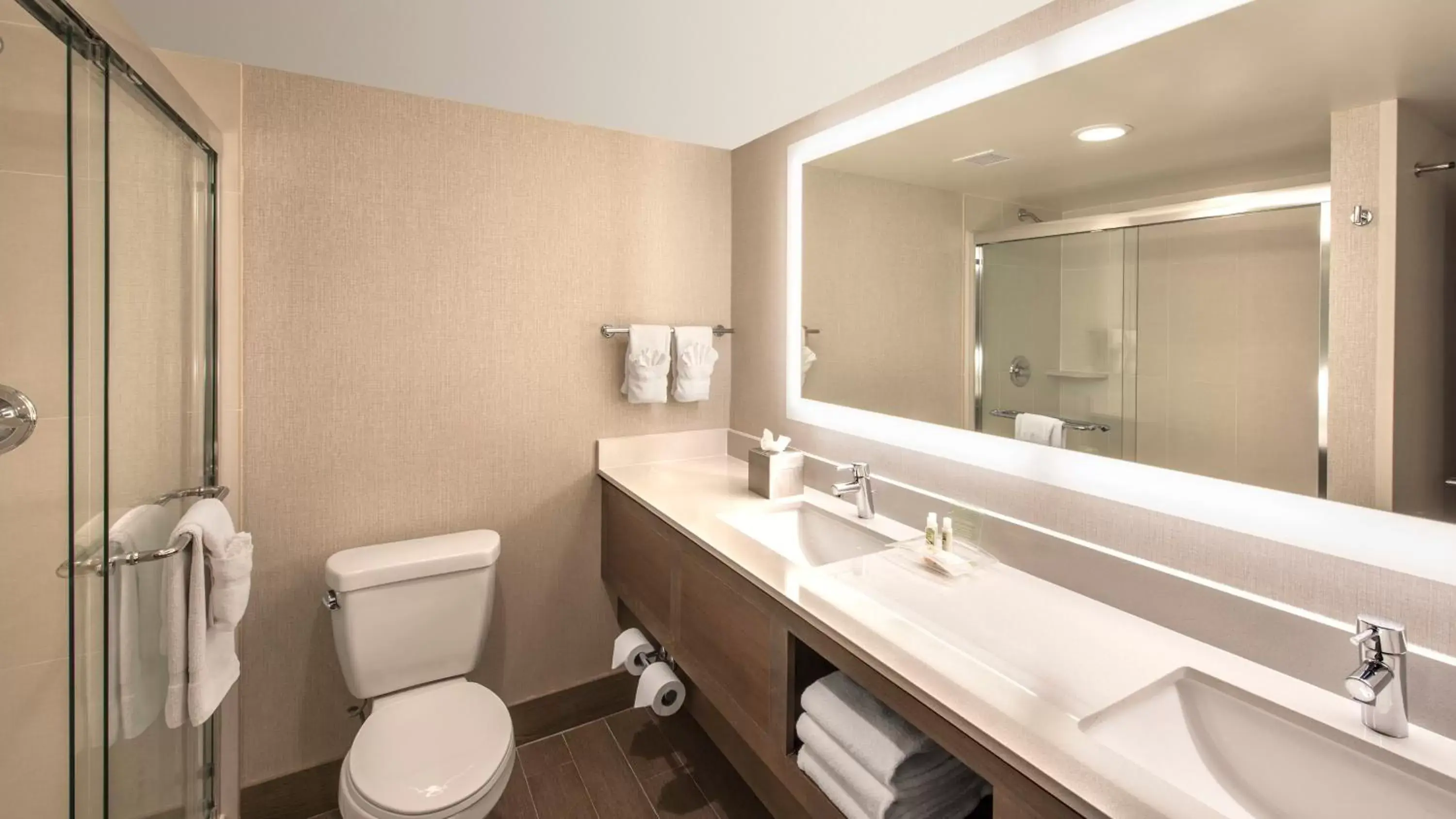 Photo of the whole room, Bathroom in Holiday Inn Denver Lakewood, an IHG Hotel