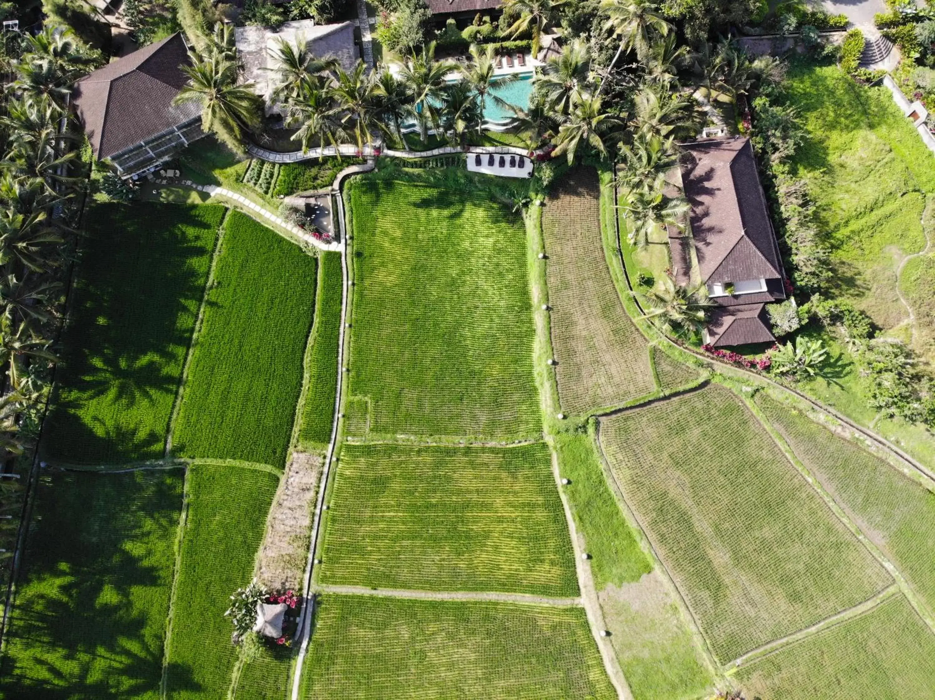 Property building, Bird's-eye View in MATHIS Retreat Ubud