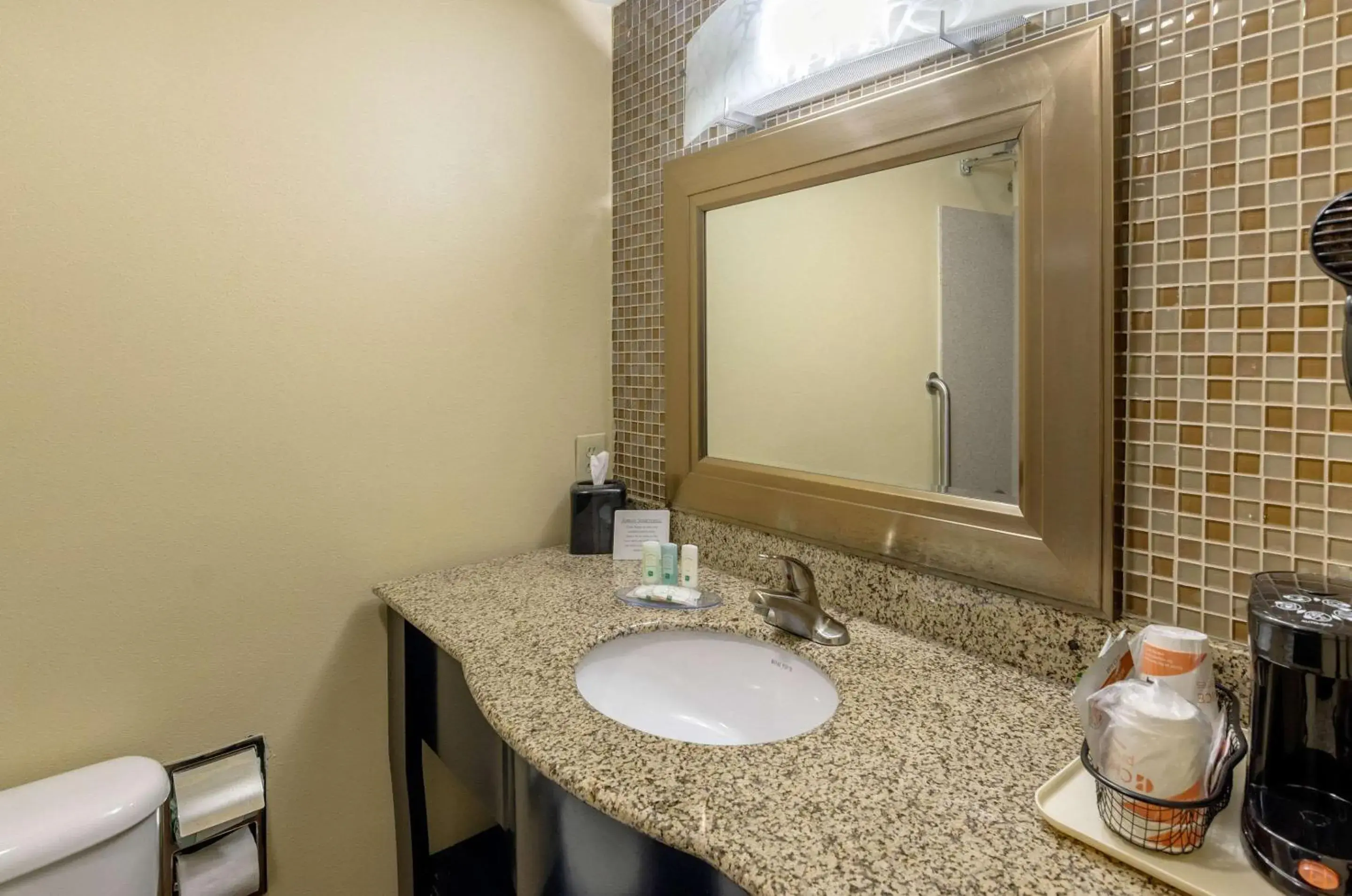 Bathroom in Quality Inn