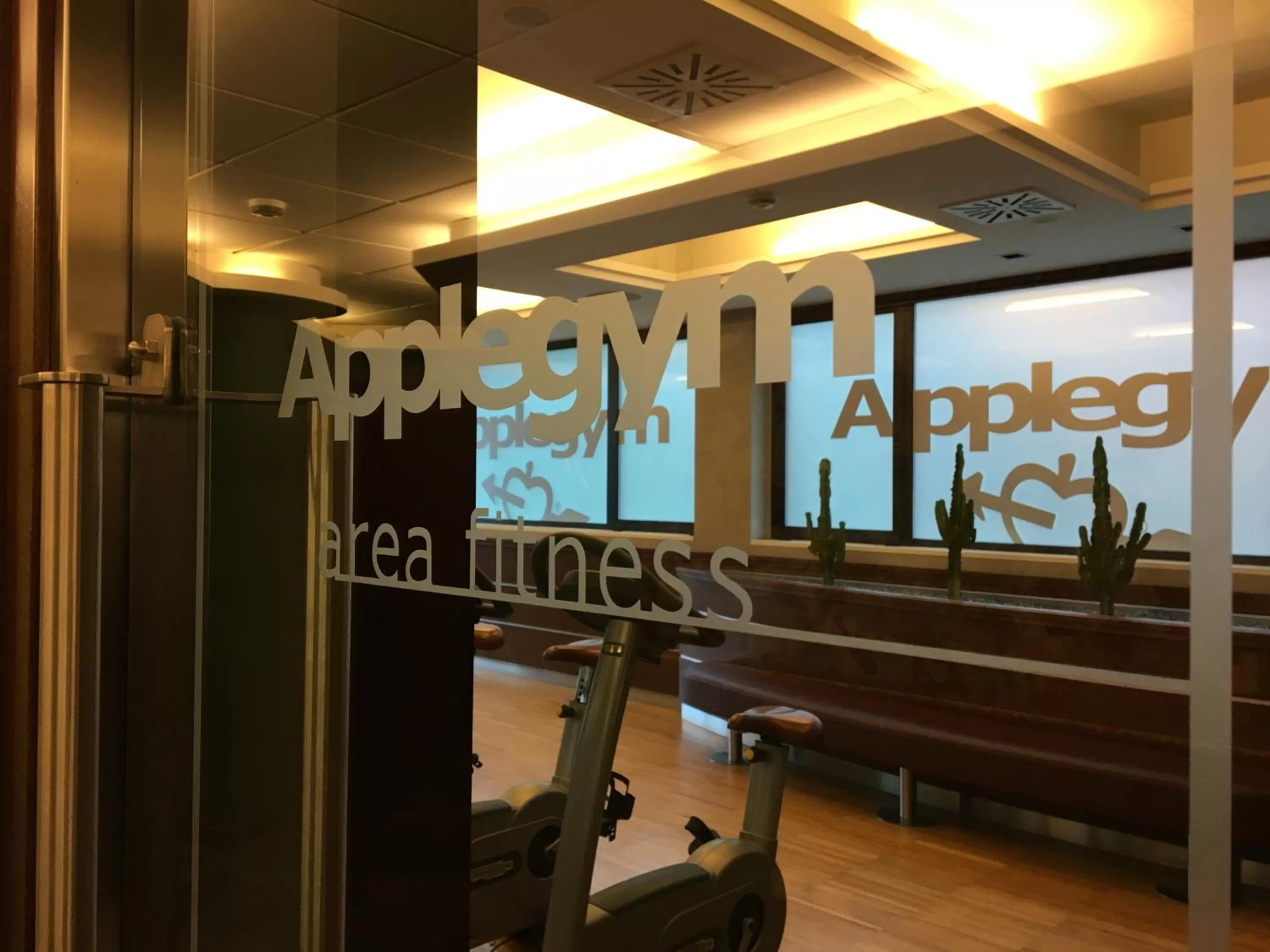 Fitness centre/facilities in Guglielmotel