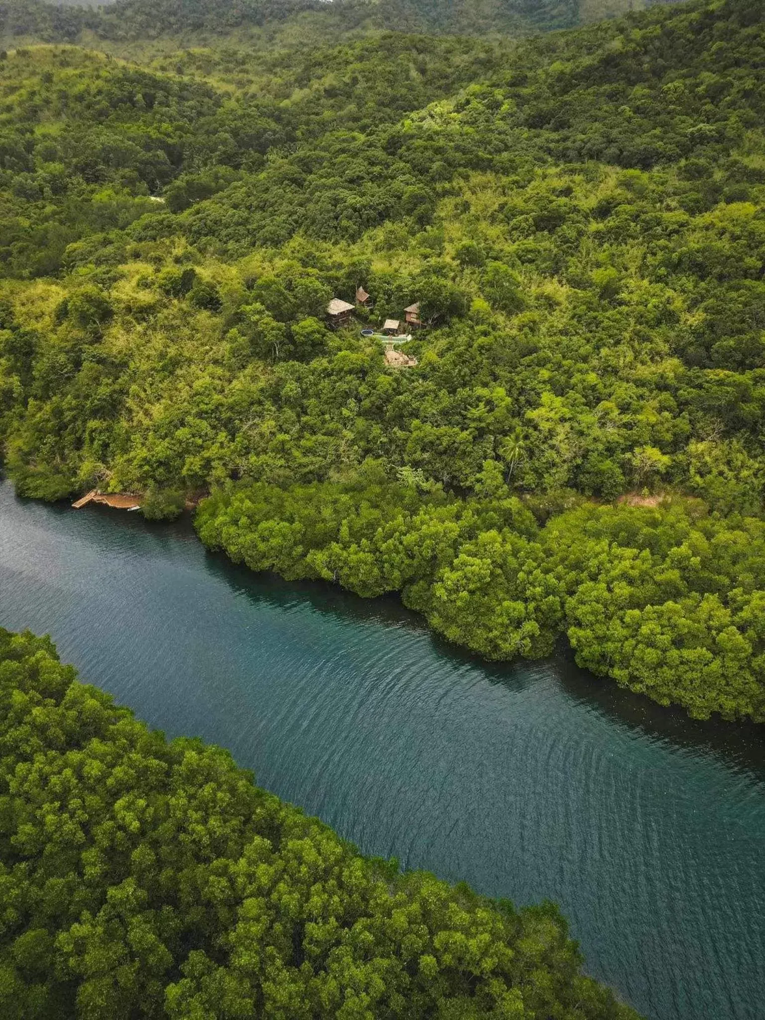 Bird's-eye View in Sanctuaria Treehouses Busuanga